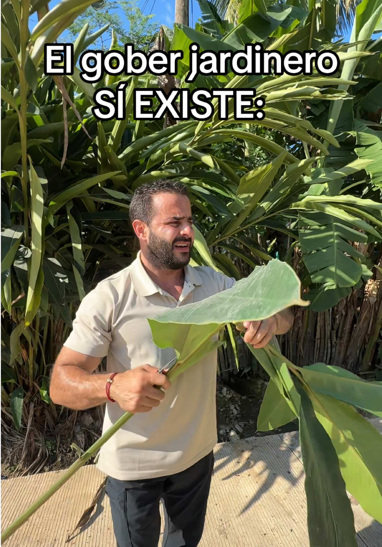 @Erasmo Zuleta Bechara