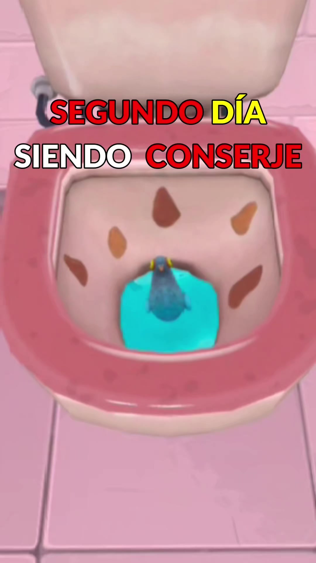 @BolilloVR
