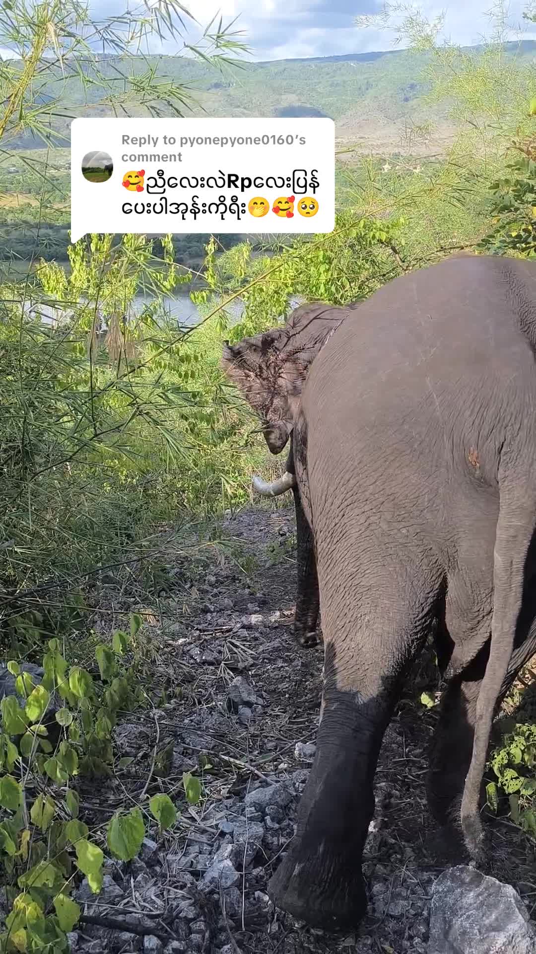@Zawpaing