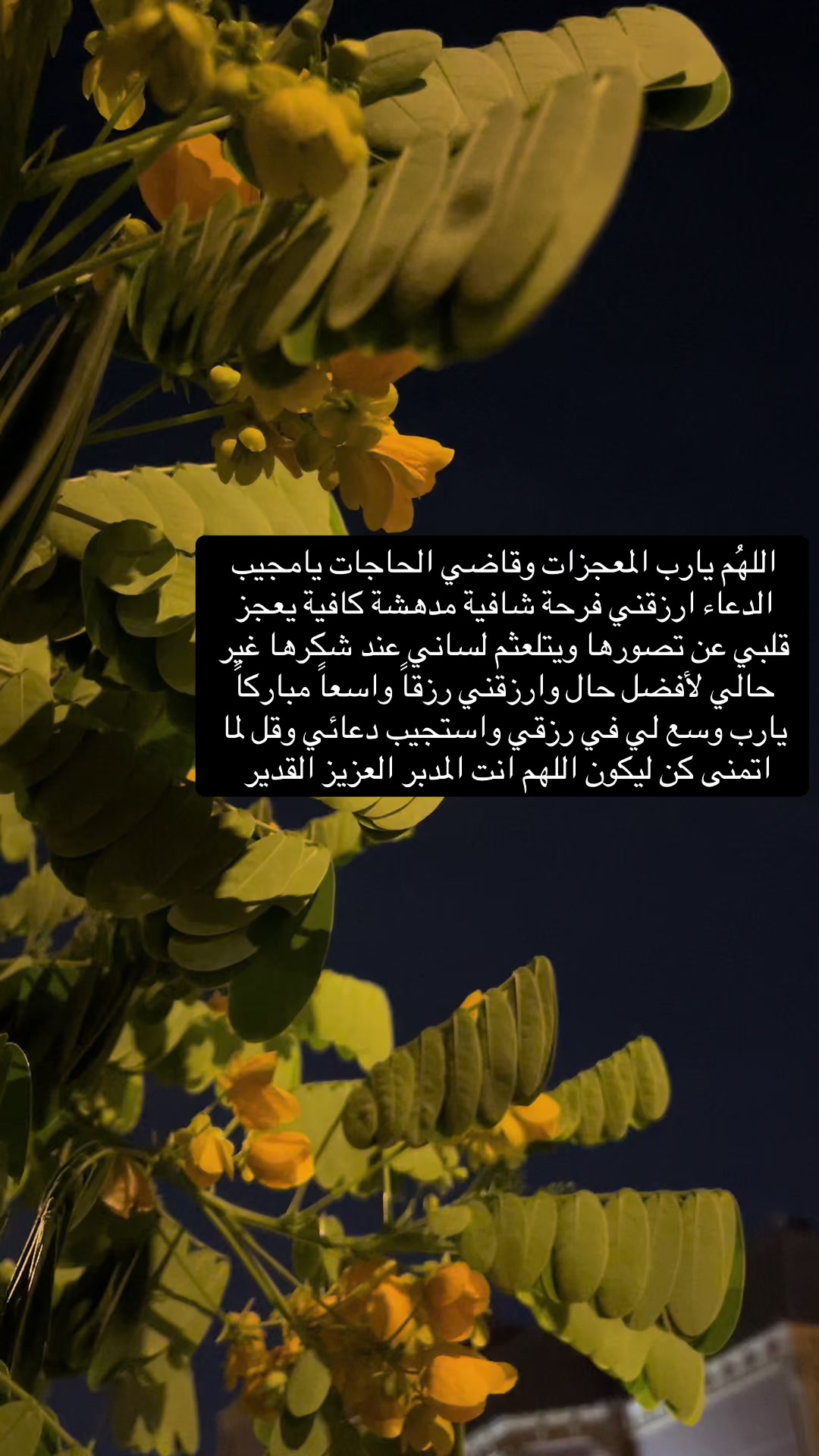 @خواطر عيوش✍🏼