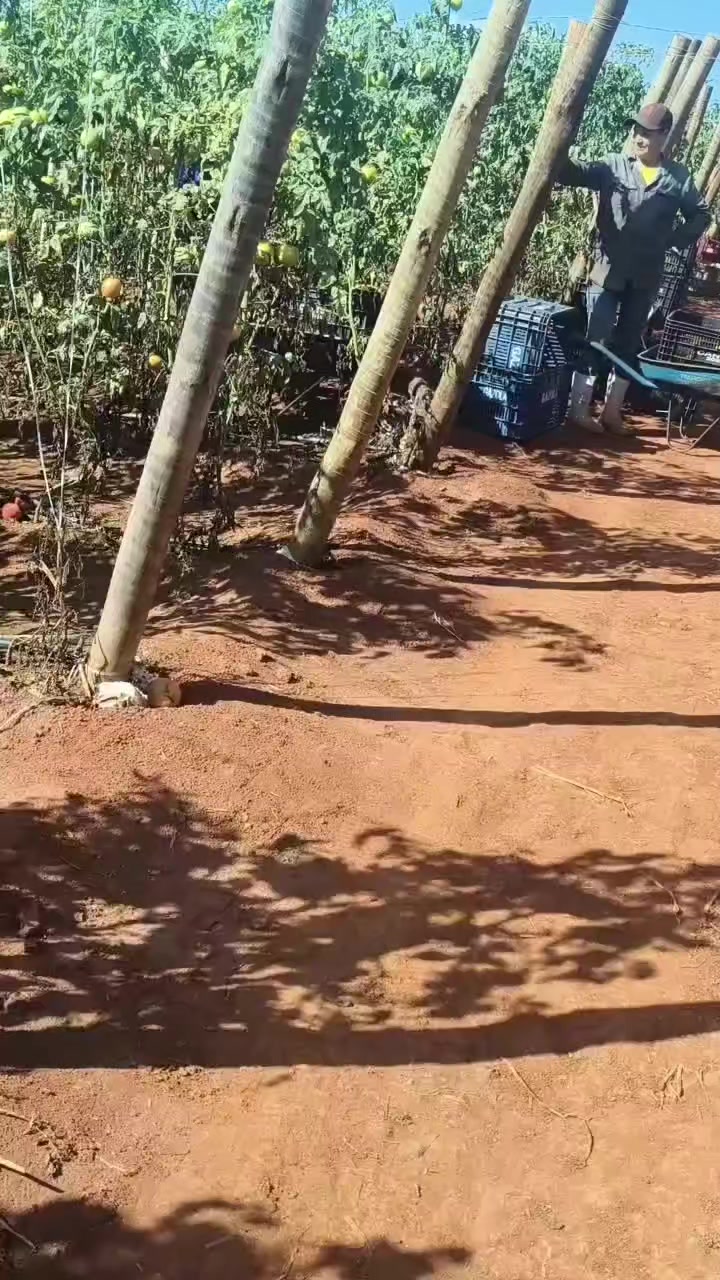 @@vlóg do júlhao oficial