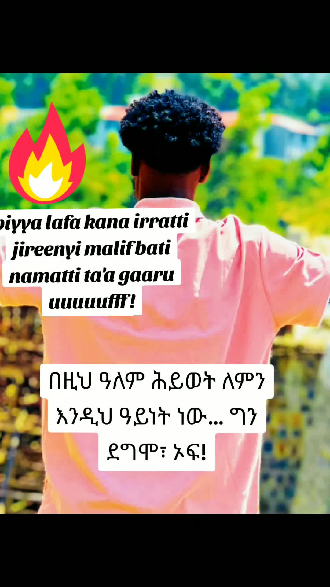 @Gemta