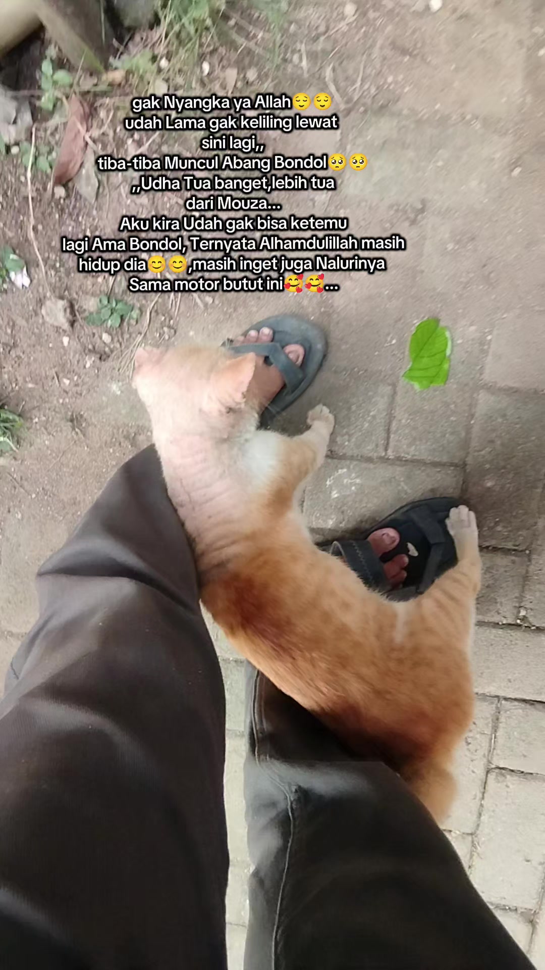 @Shanshan Ngapruk