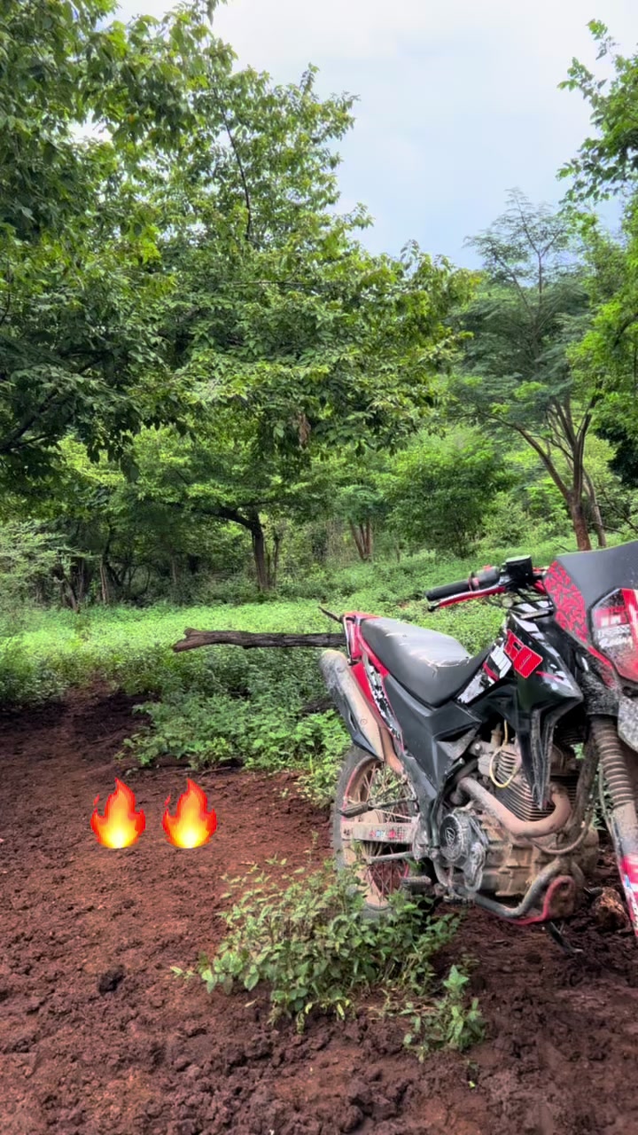 @Mmxi.🦍