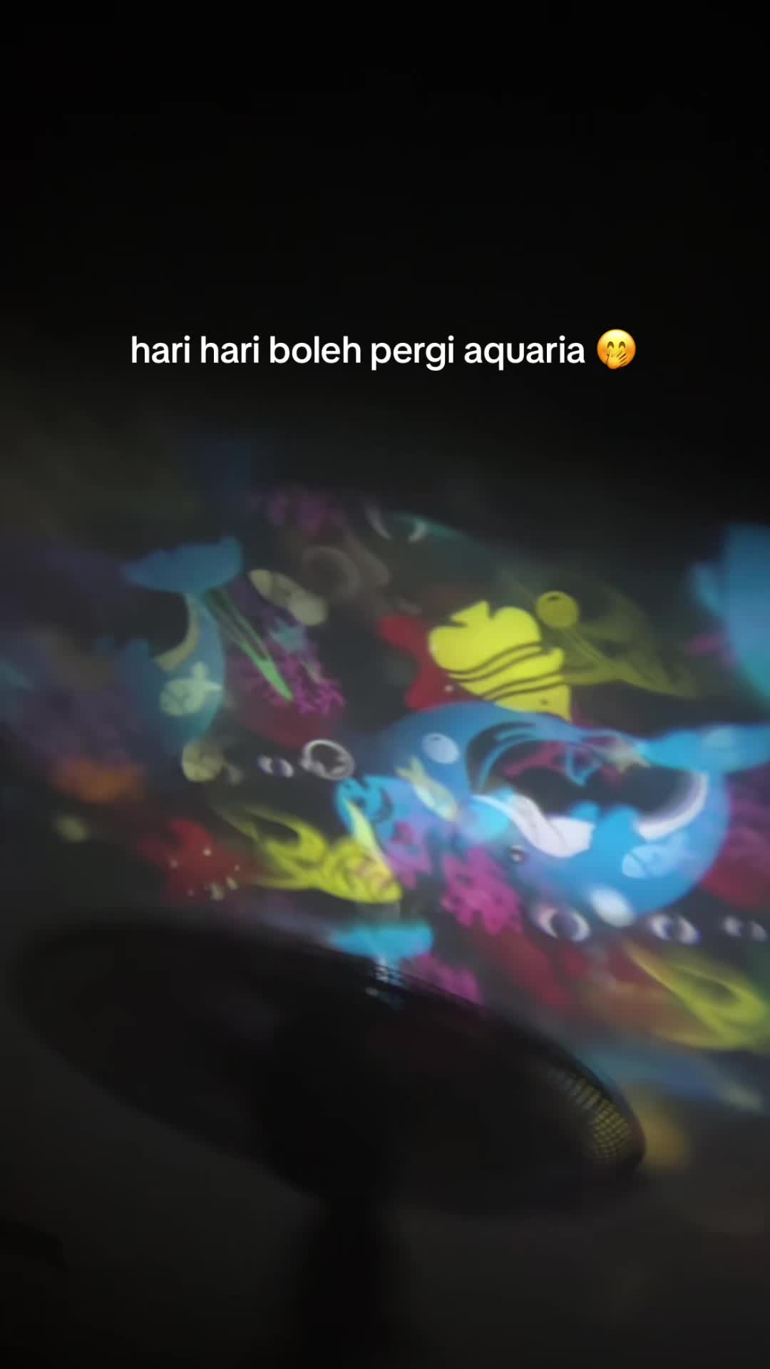 @dina jer