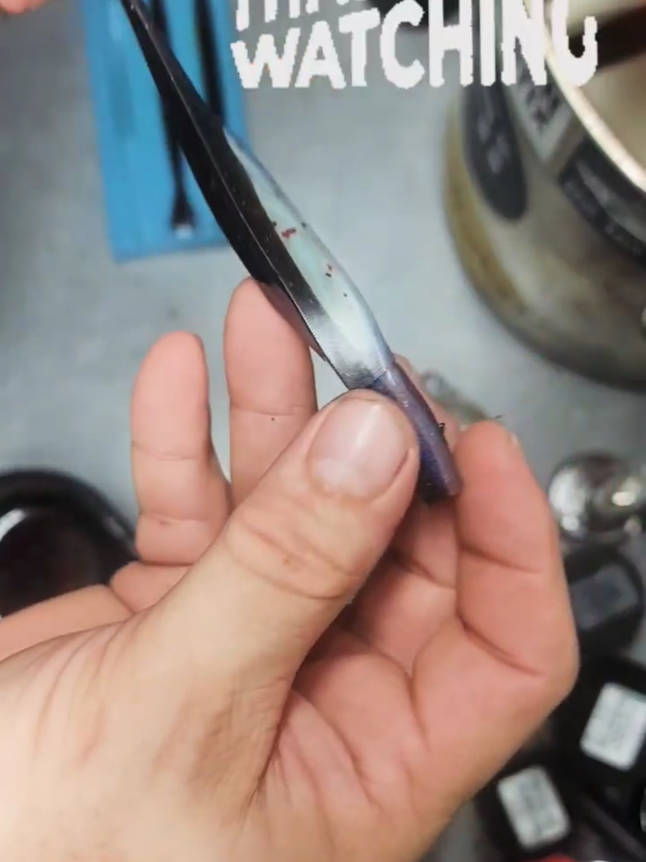 @ModestBaits