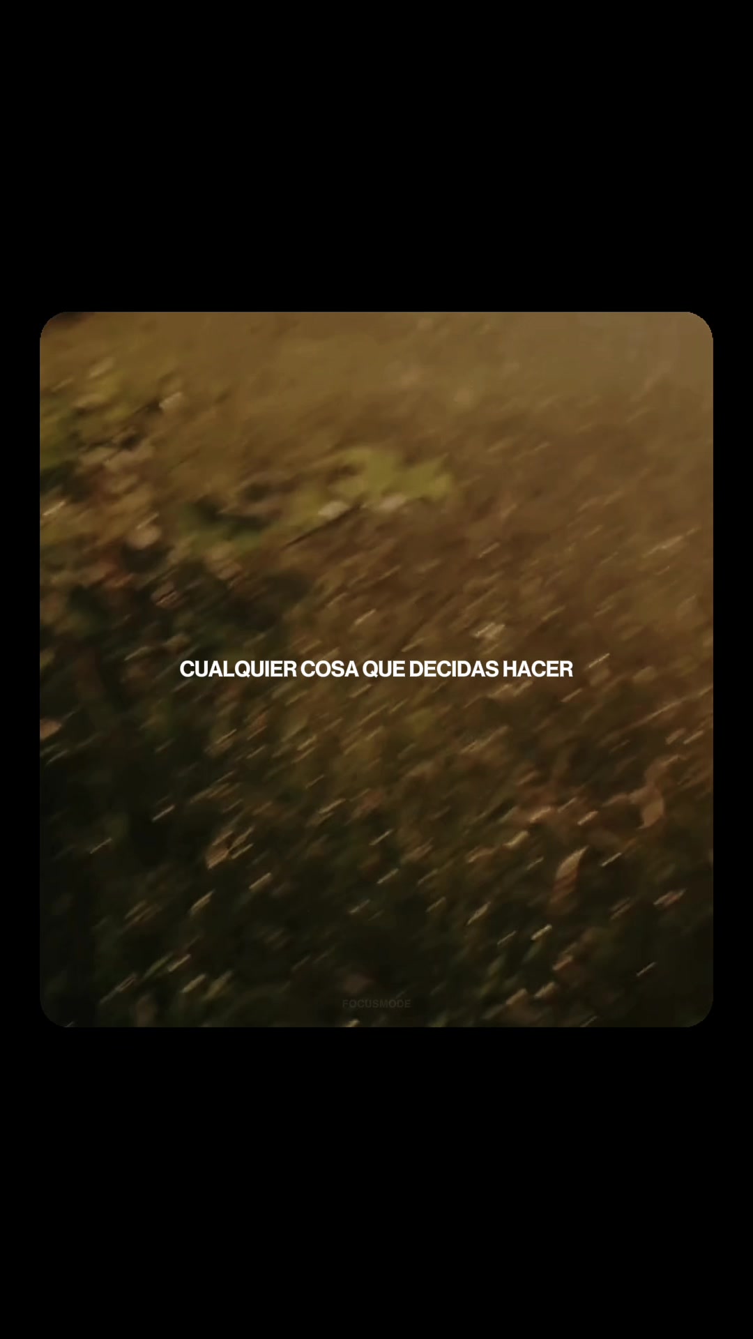 @Focus