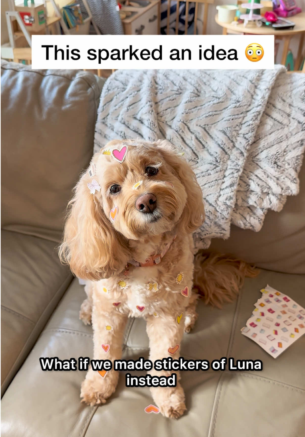 @LunaTheMiniCockapoo
