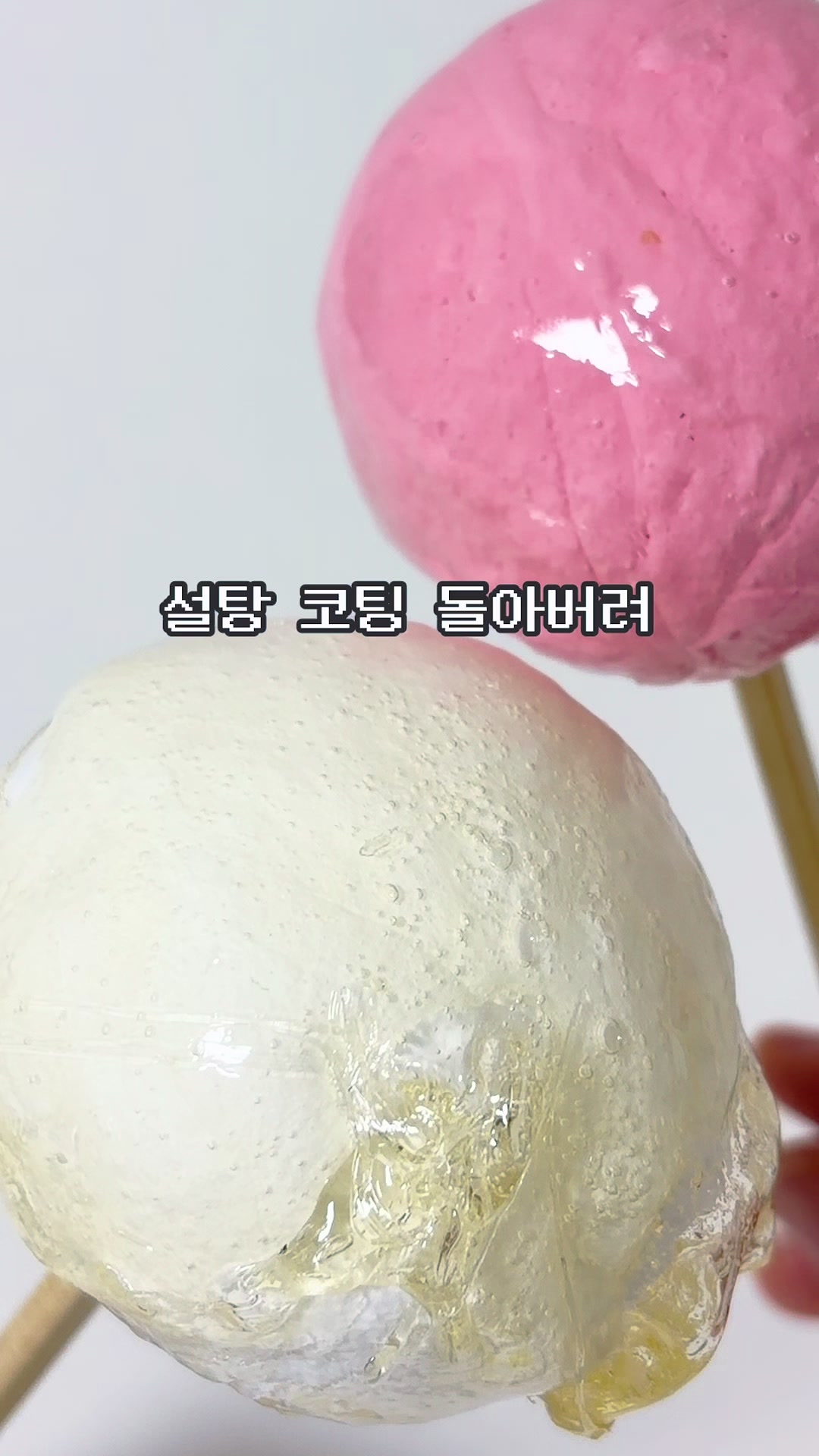 @송끼새끼