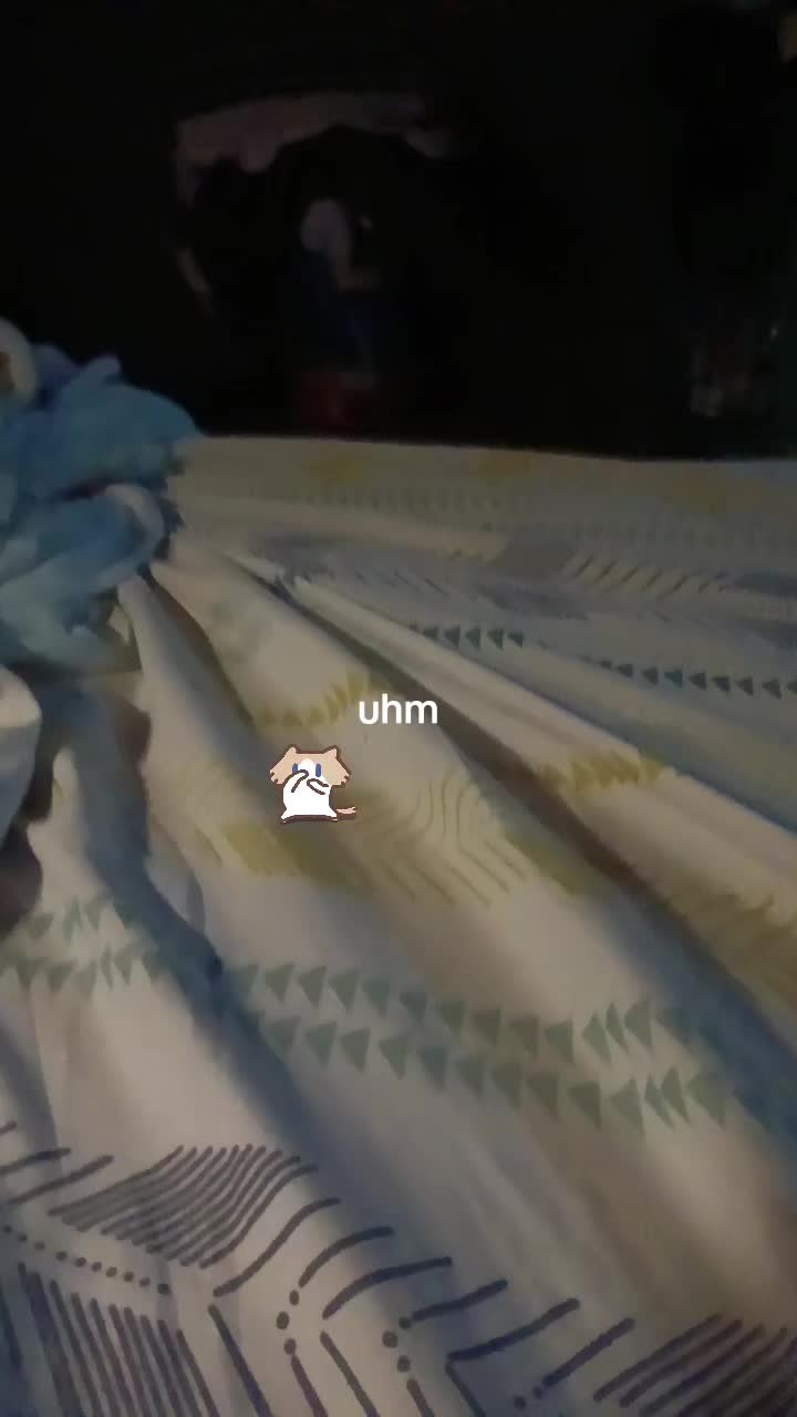 @丰μ∆§ f3l1c1ty §∆μ丰
