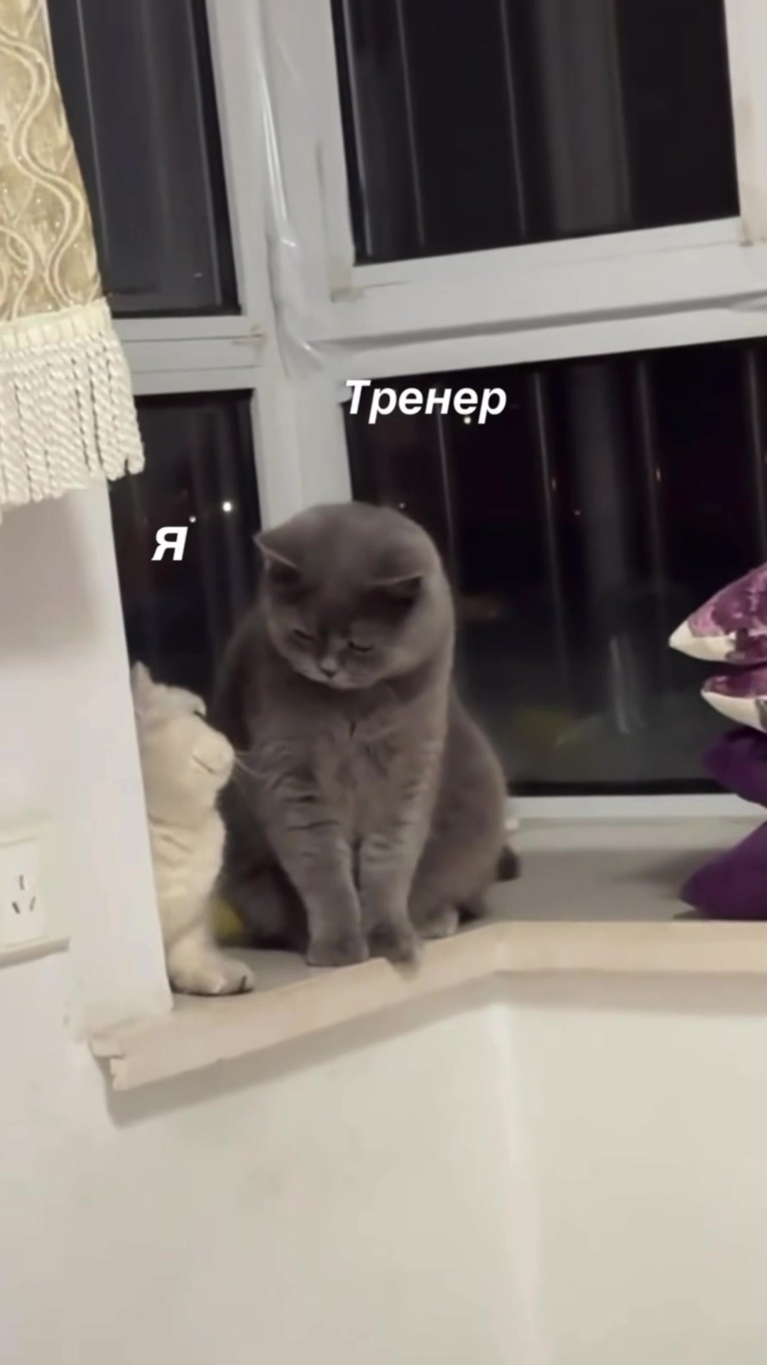 @Zoryanka 🇺🇦