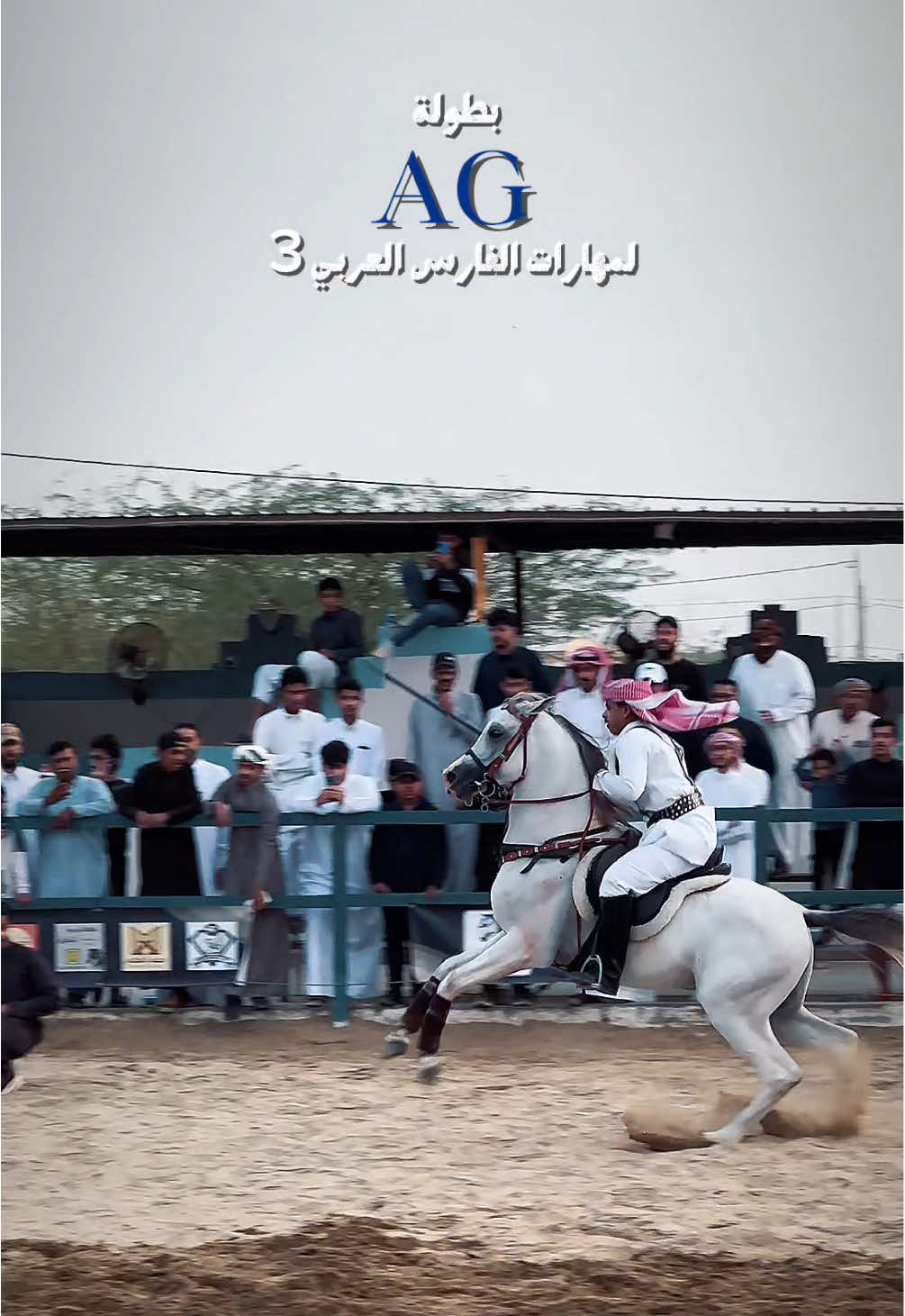 @ميكاسَا العَرب 🌟