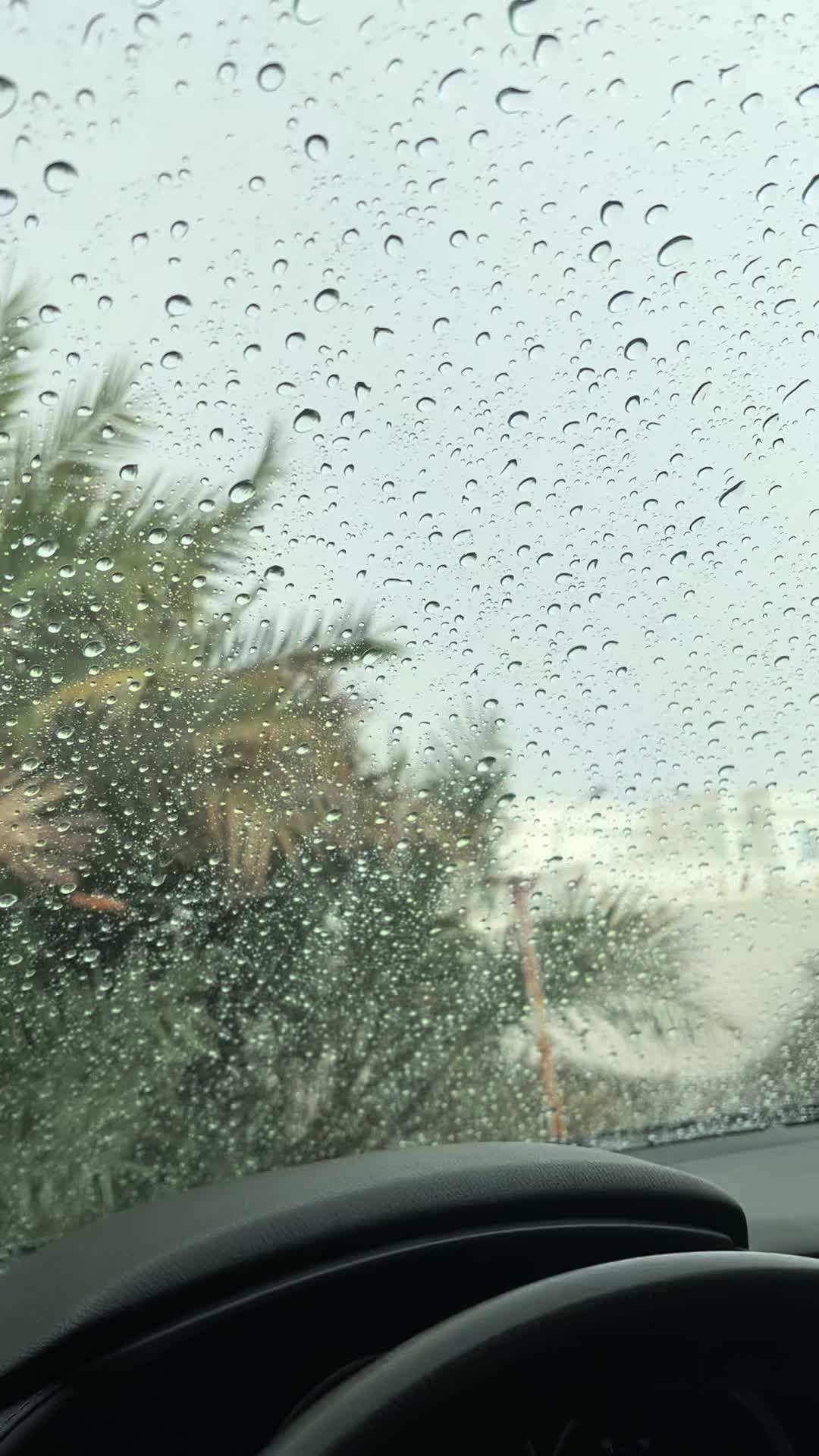 @Prince Rameez🇴🇲رميز البلوشي