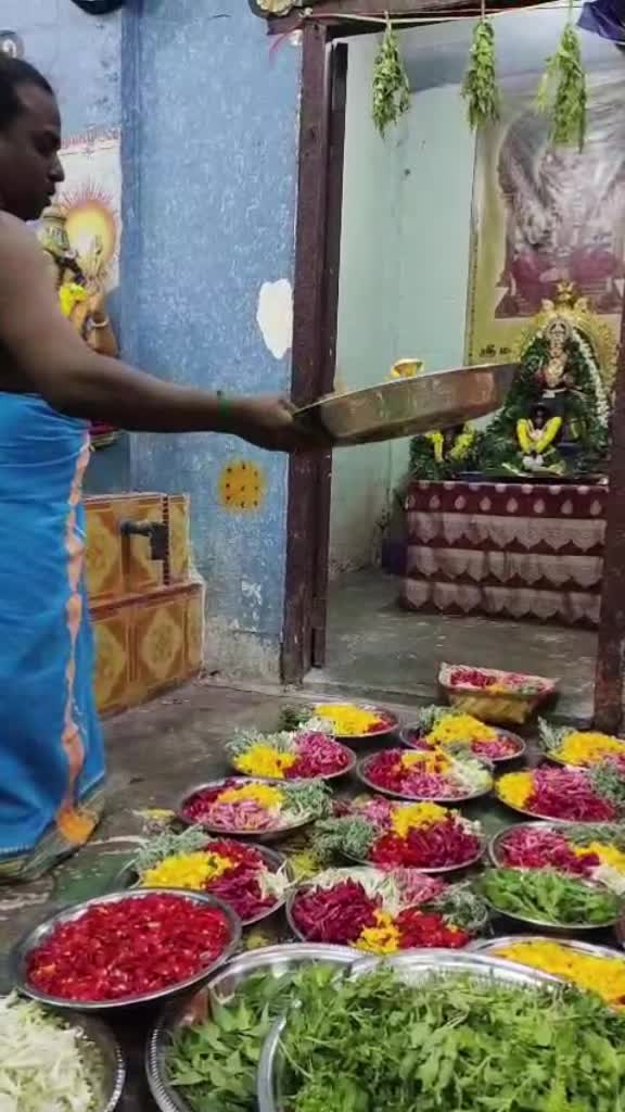@Homathy🐼JayRaj