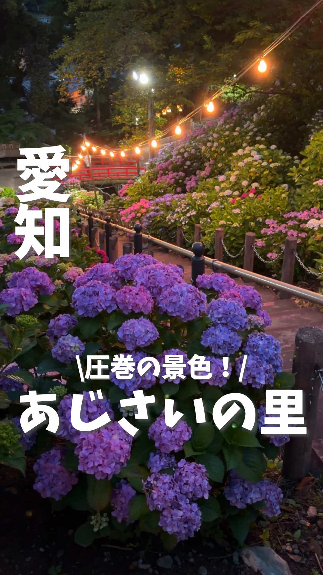 @まつ夫婦 | 名古屋発!夫婦デート&癒し旅