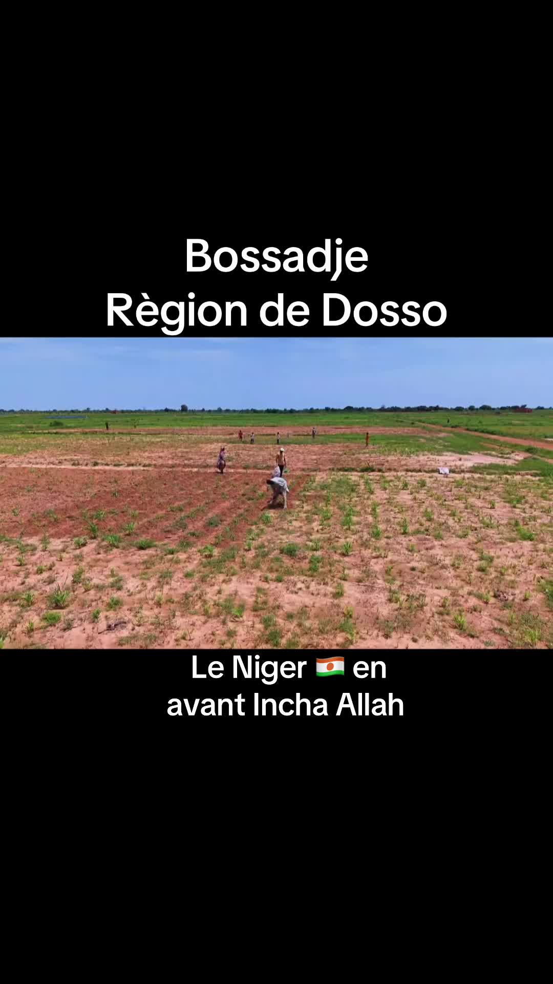 @Elh Billy Dosso-Borah 🇨🇦🇳🇪