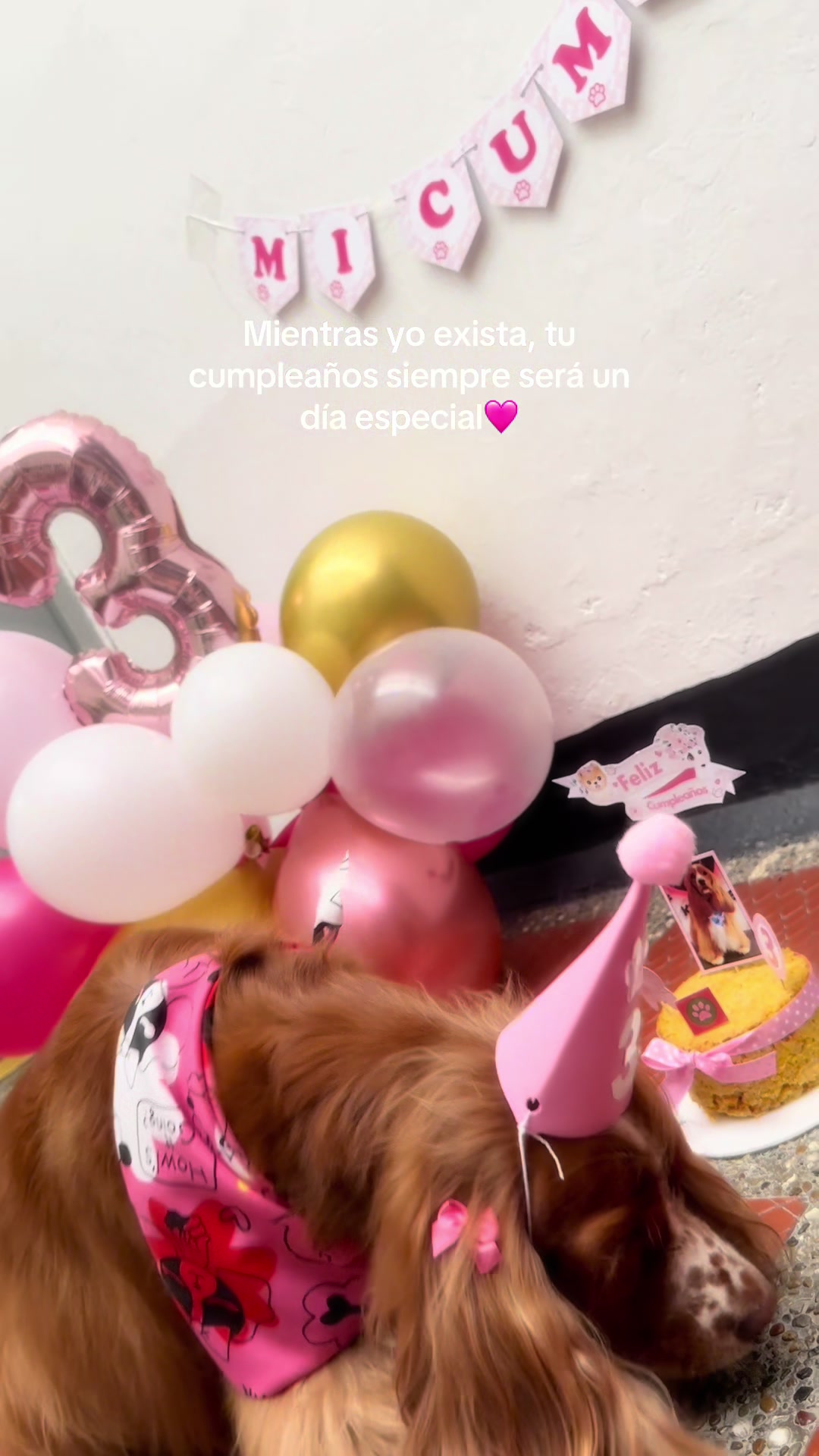 @Manuela G&oacute;mez