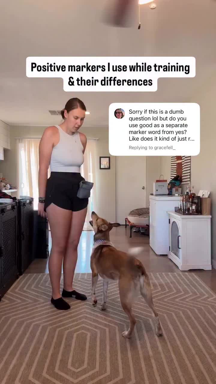 @Marissa | Kota & Aspen