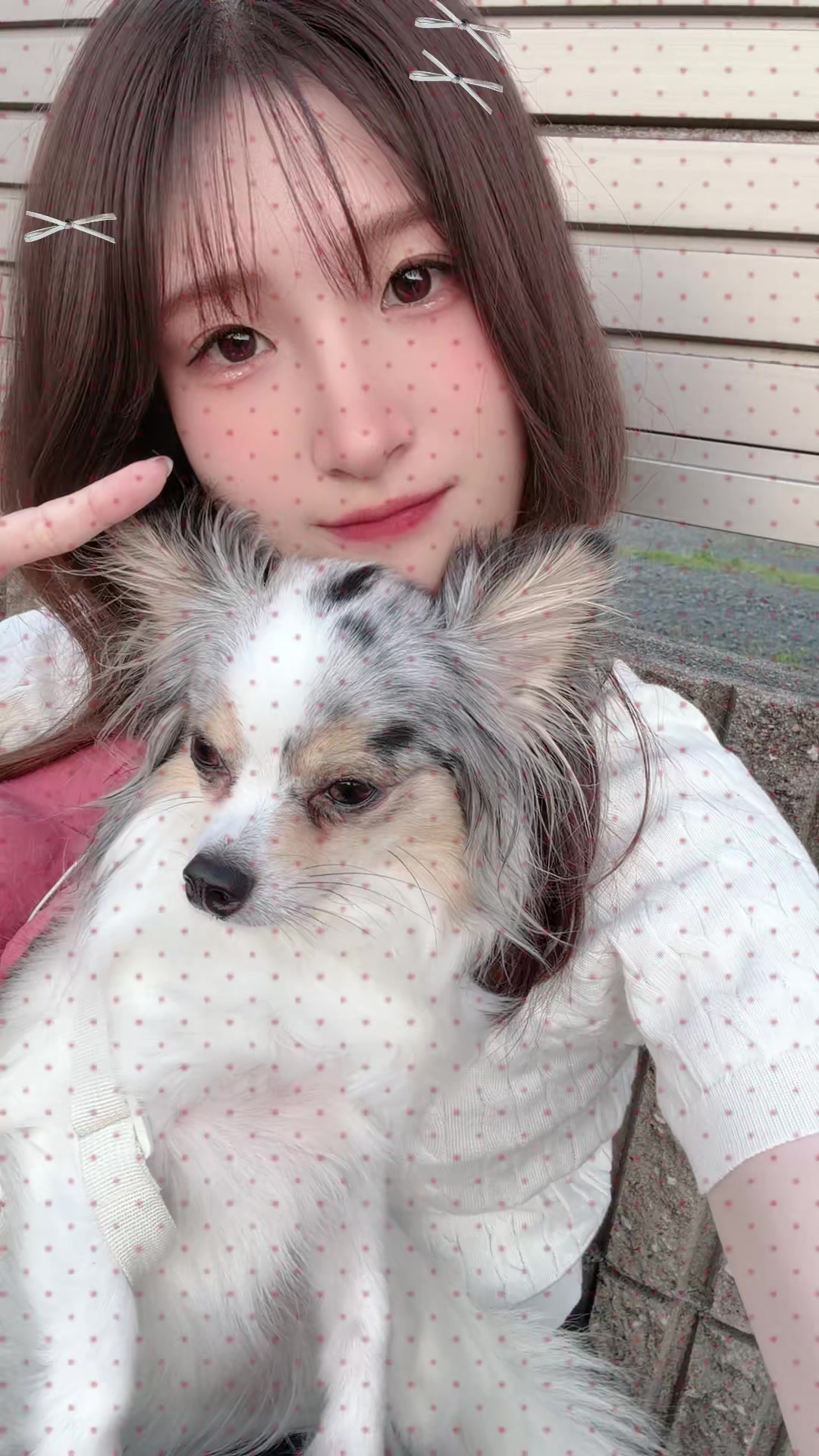 @3939ちゃん🐶💤