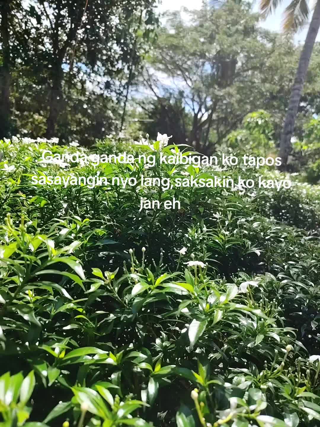 @โ. ๐ ห๐ฆข