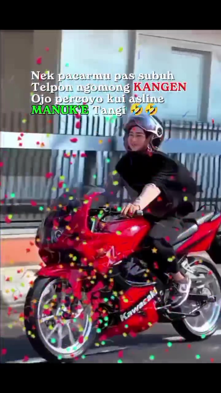 @๐๐จ๐ฆ๐ฆ๐ฒ ๐๐๐จ๐ง ๐ฅ๐ฆ