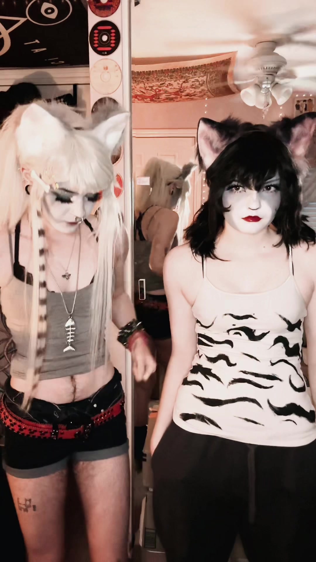 @☆ POUNCE