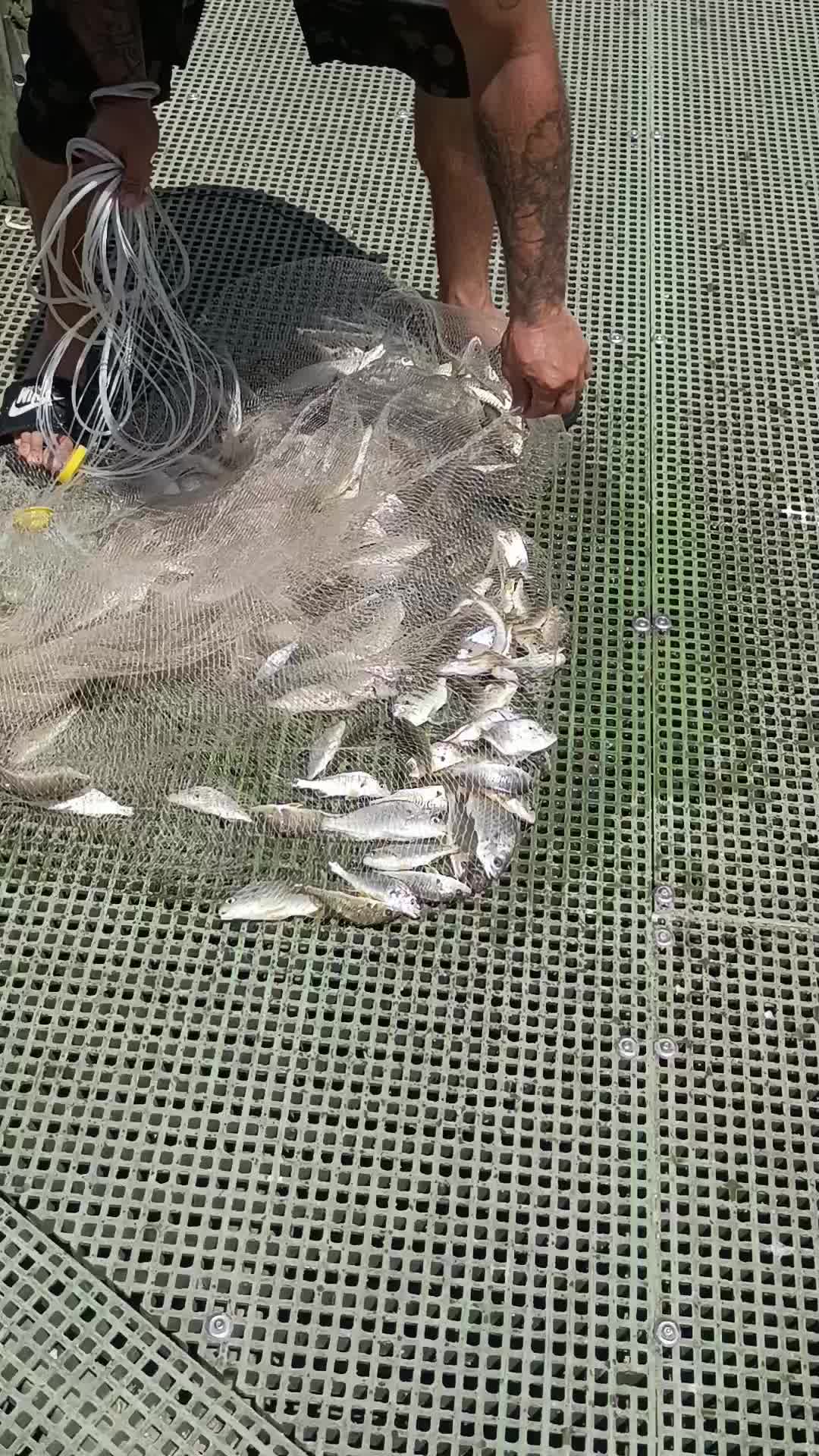 @SALTWATER SAB OUTDOORS