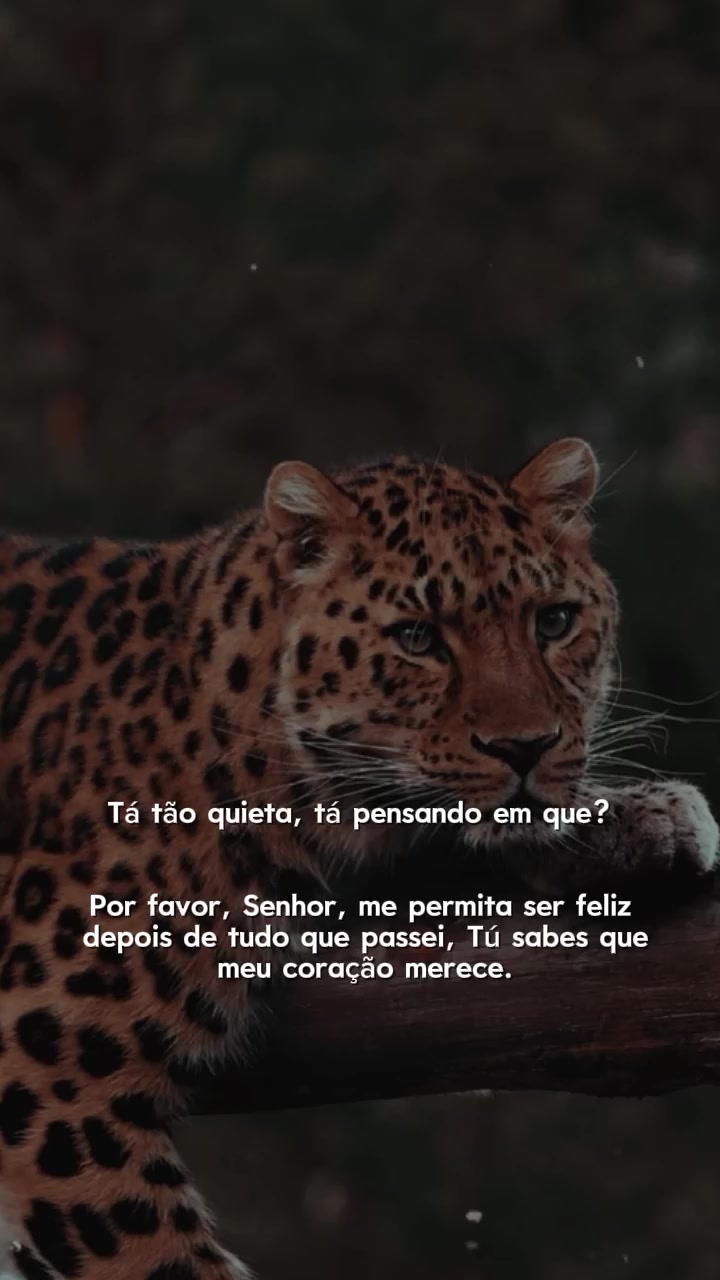 @𝙁𝙚𝙡𝙞𝙣𝙖.𝙈𝙚𝙣𝙩𝙚96🐆❤️