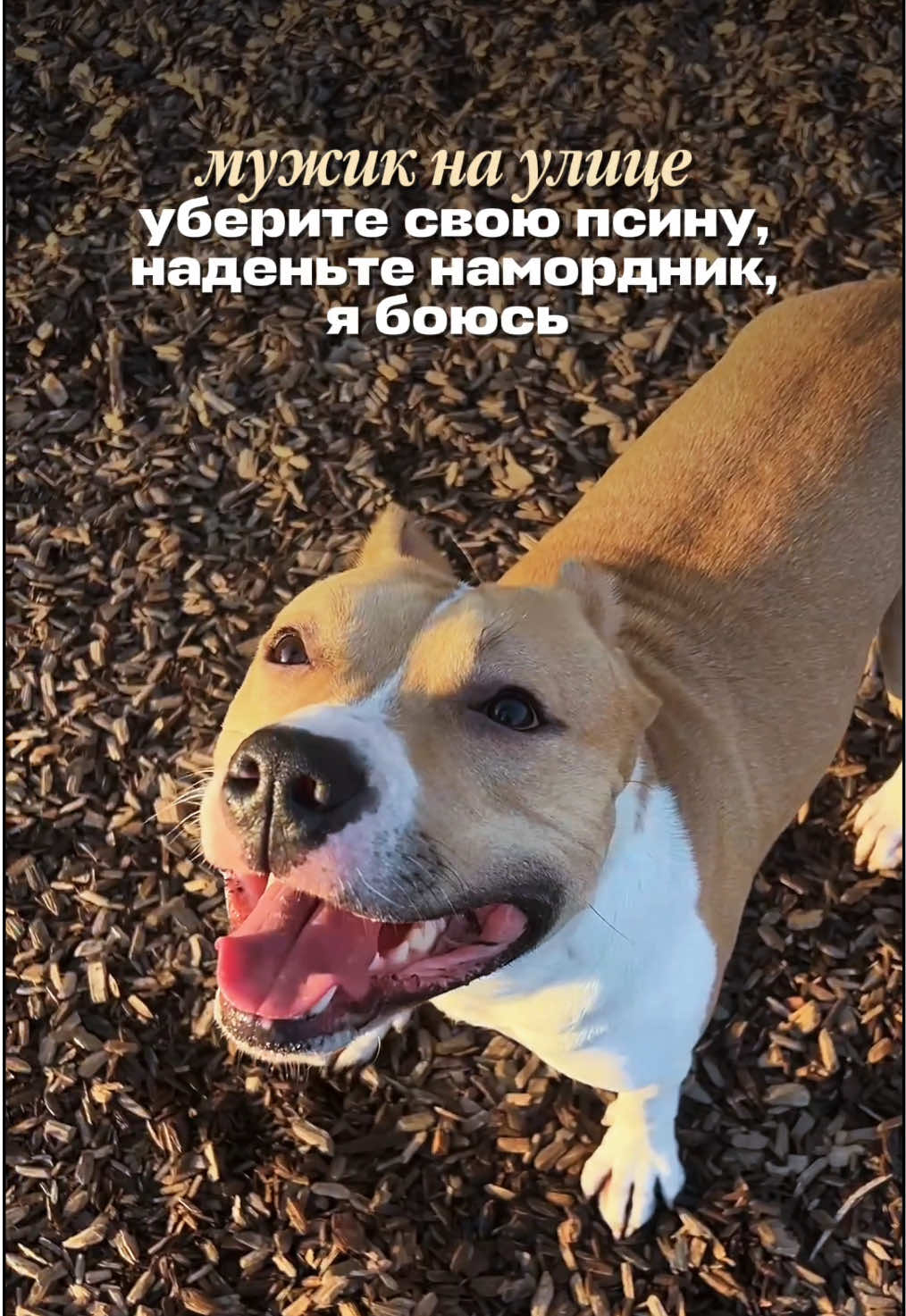 @ТГК: SUN