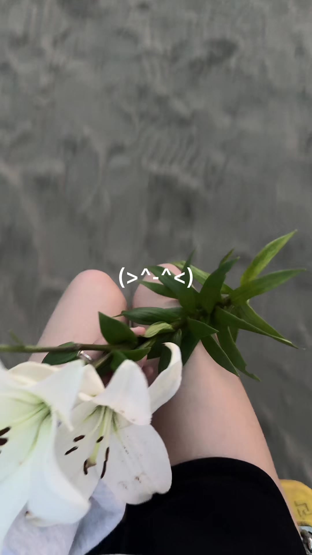@мя(у)сничка