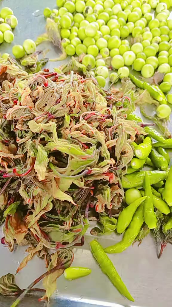 @ဒေါ်ခင်မာထွေးသမီးအကြီးမ🍳