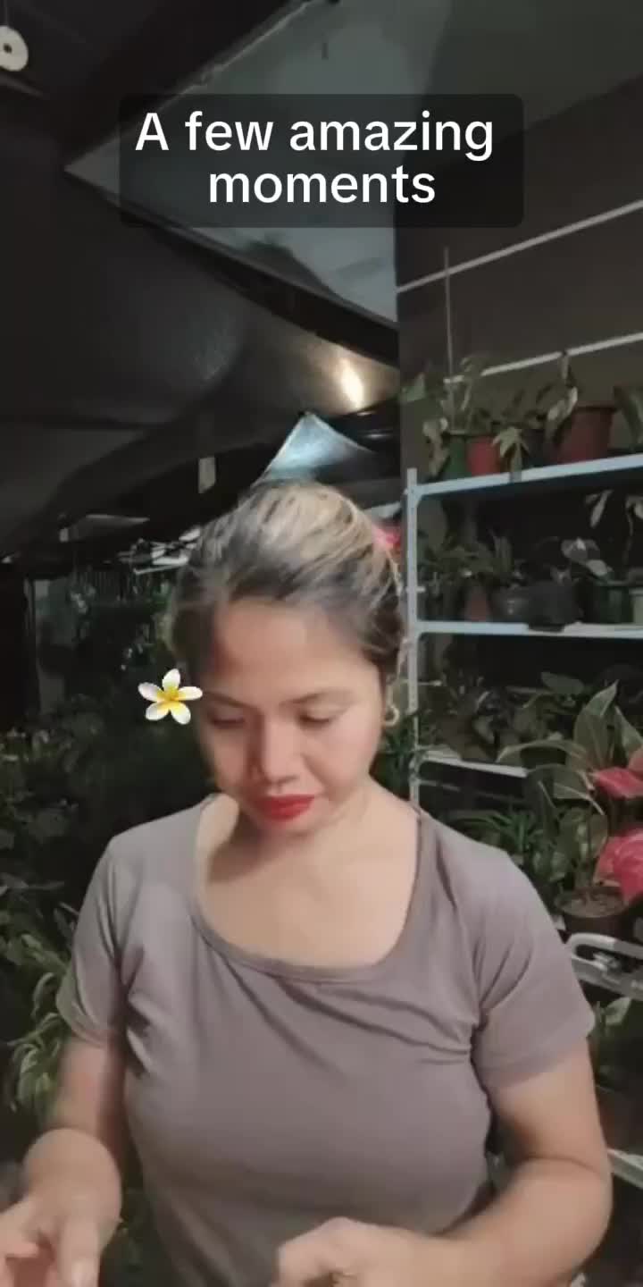 @mhie_nie gorgeous plantita