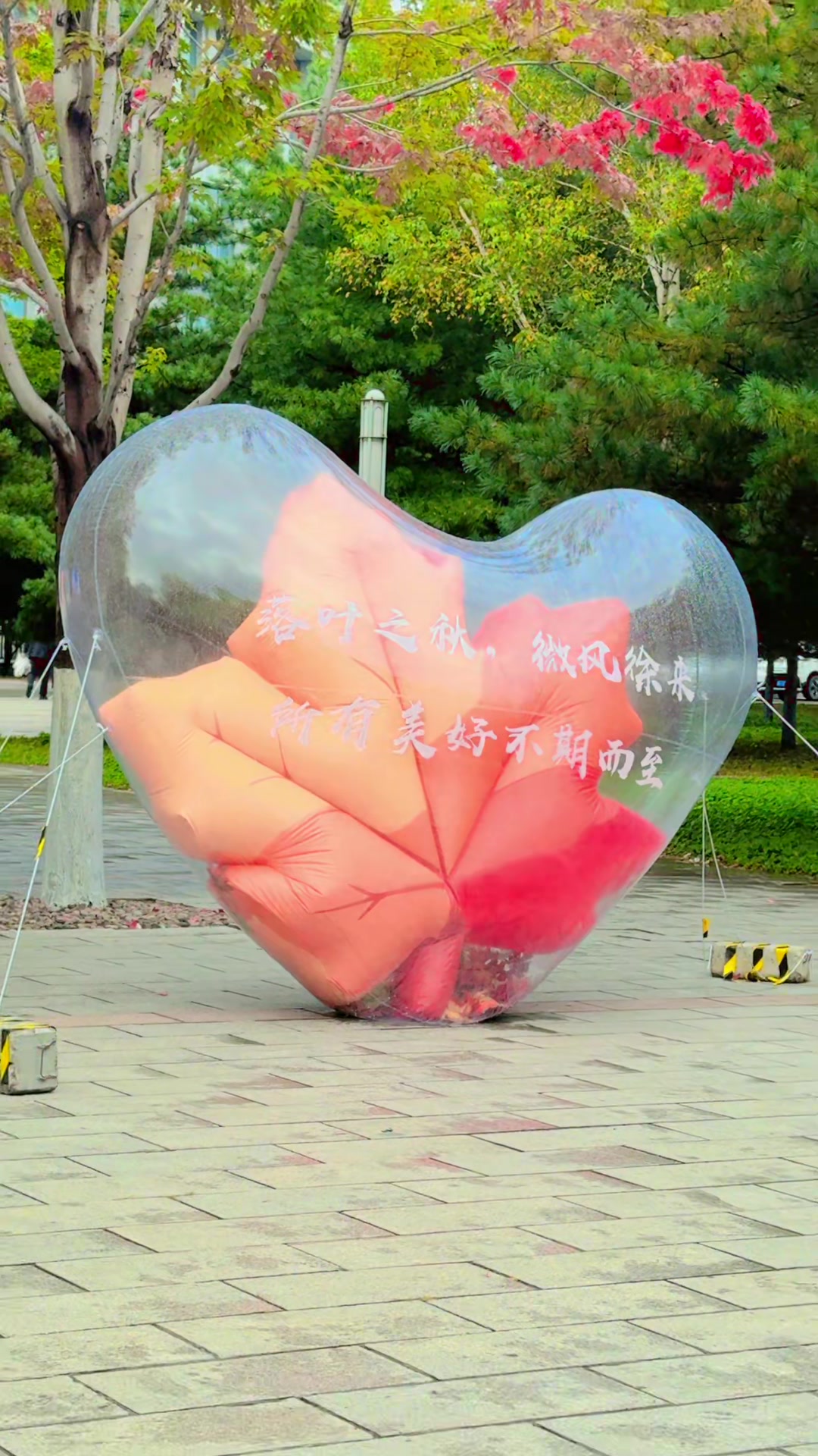 @阿里夫
