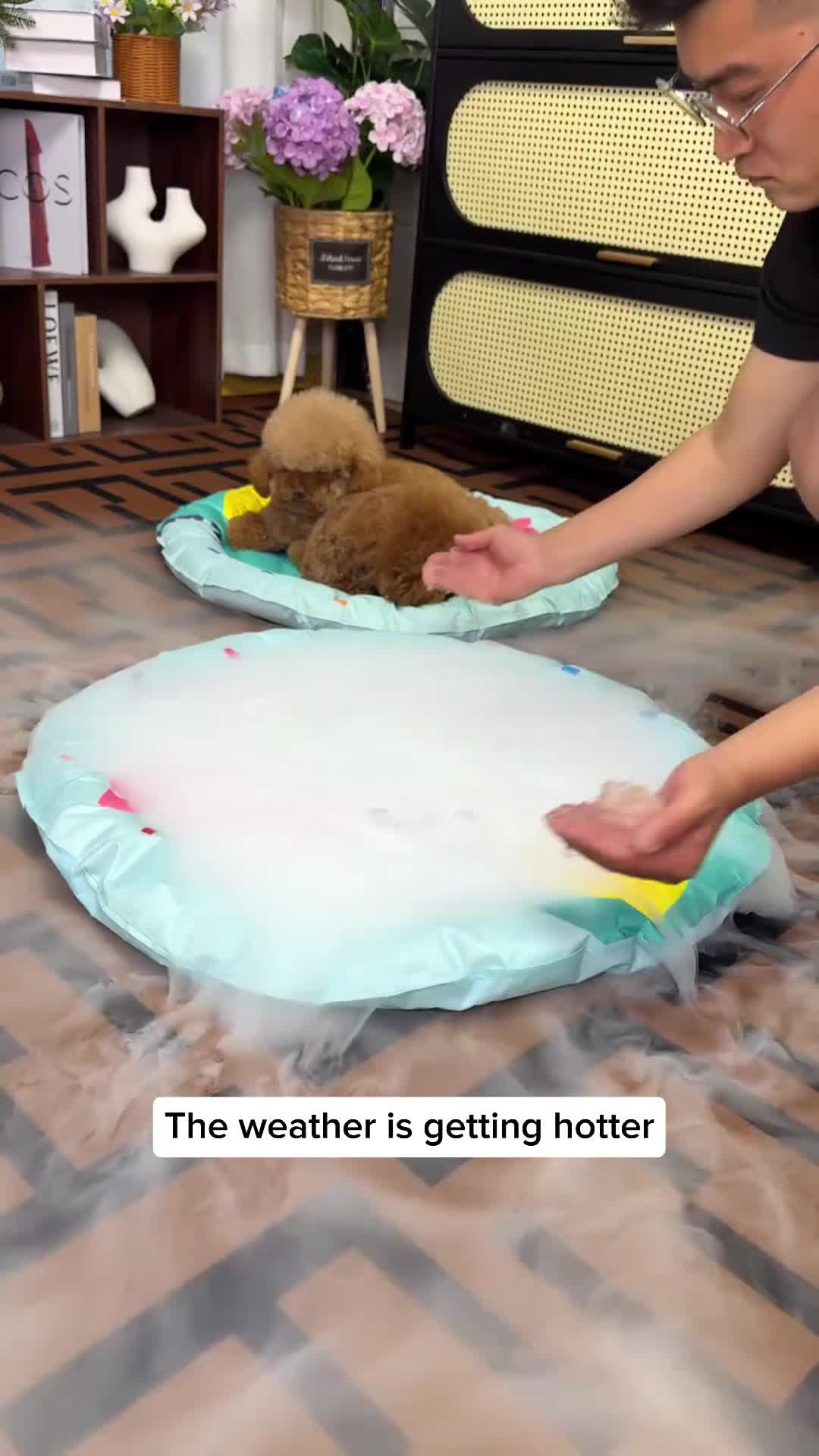 @Pet products