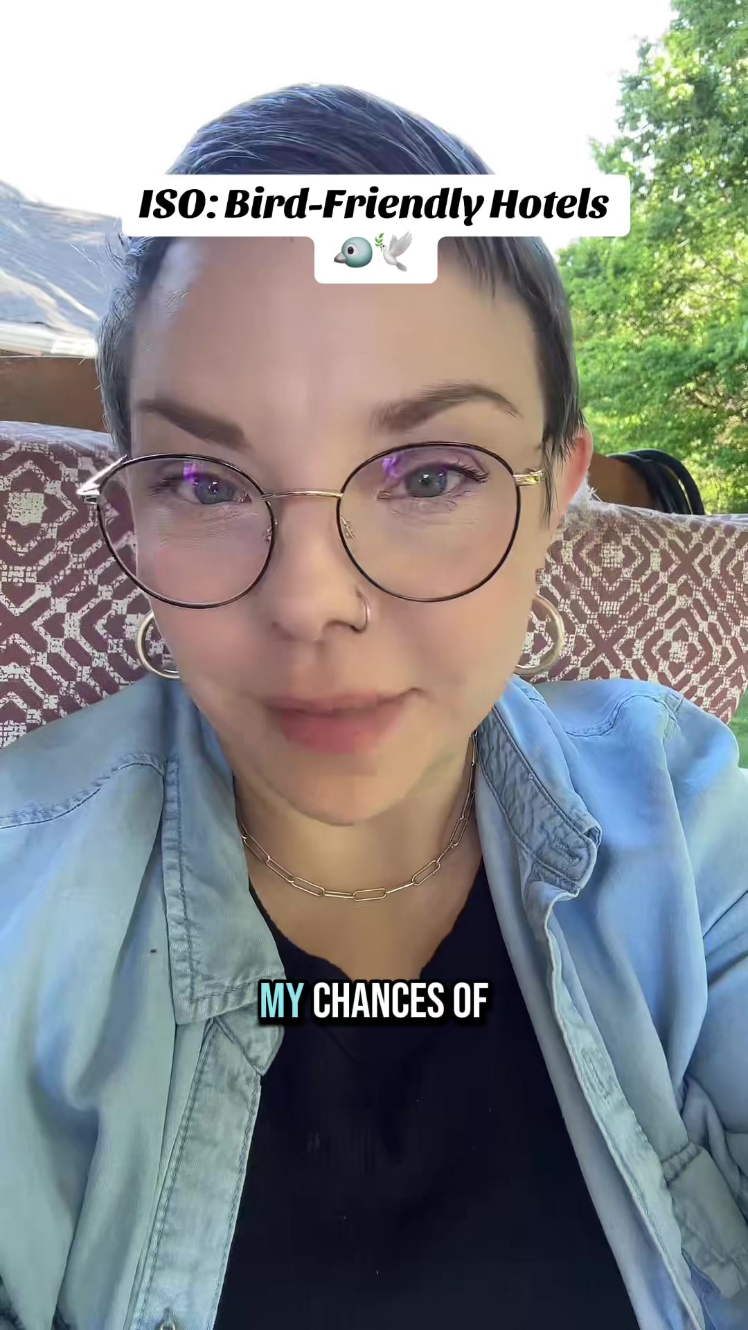 @Lindsay ⬅️ MO Pigeon Mama 🐦🔵
