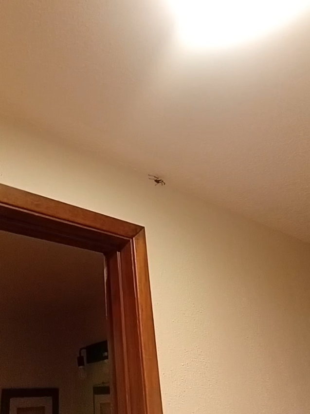 @creekcritter