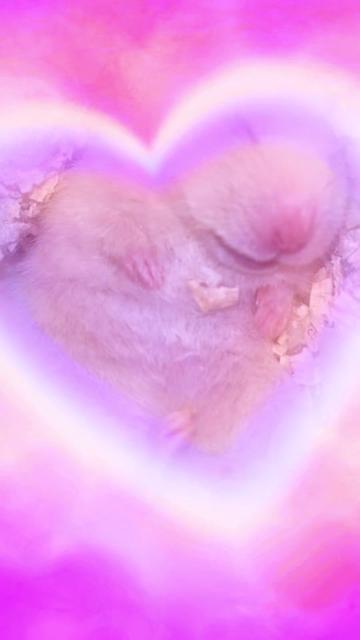 @♡まぃまぃ♡@𝓶𝓪𝓲𝓶𝓪𝓲⋆.˚ ᡣ𐭩