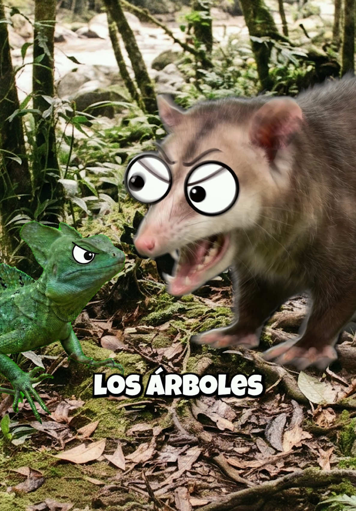 @GabSolf