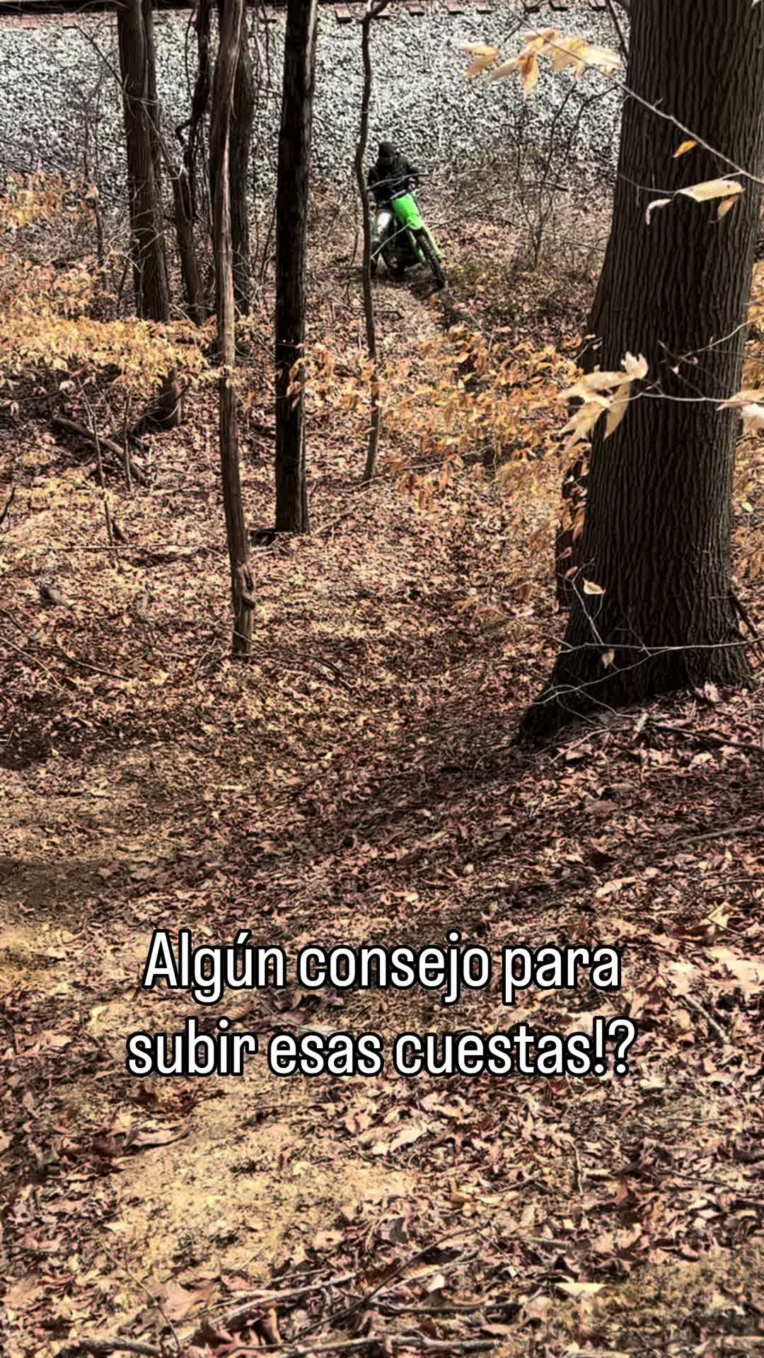 @M4pe 🦝