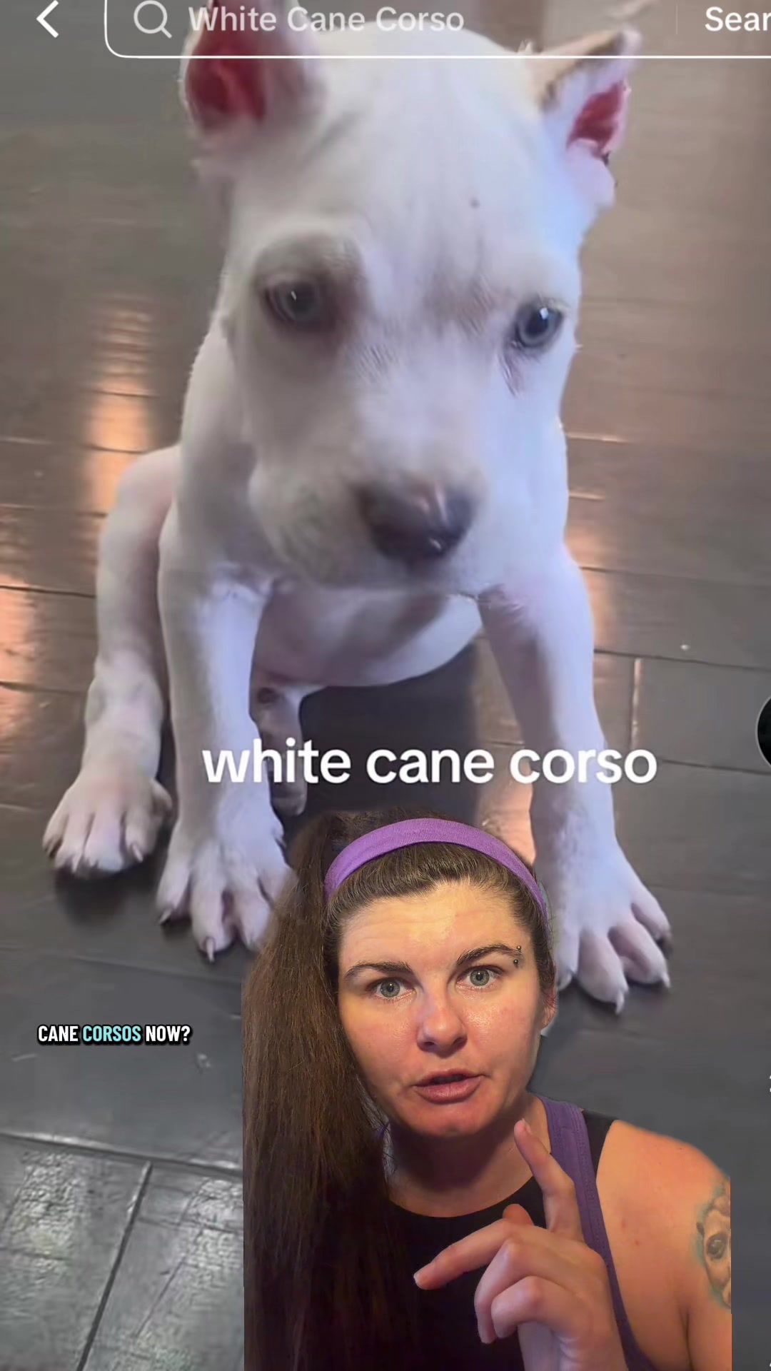 @Jess Shark🐾DOG PACK🐾