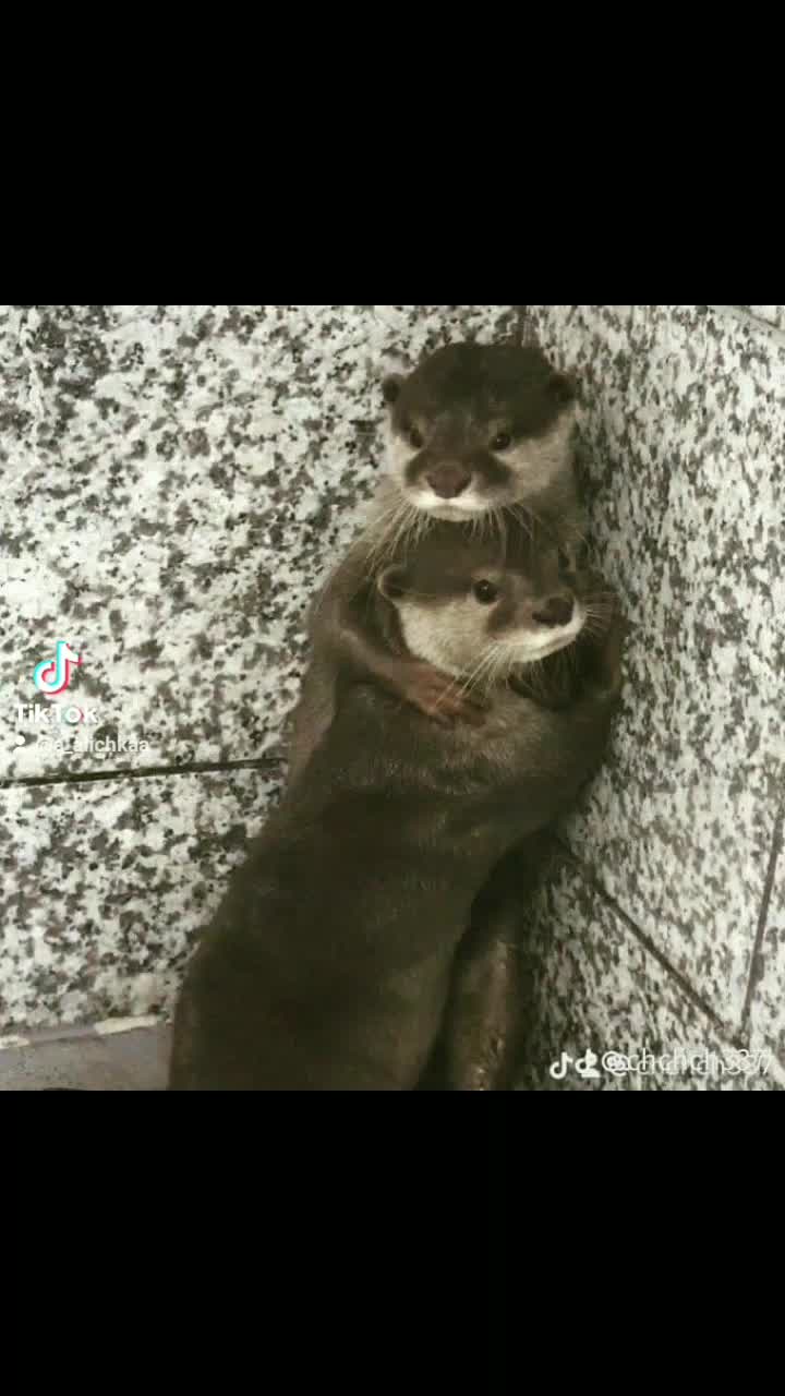 @Аля💔❤️