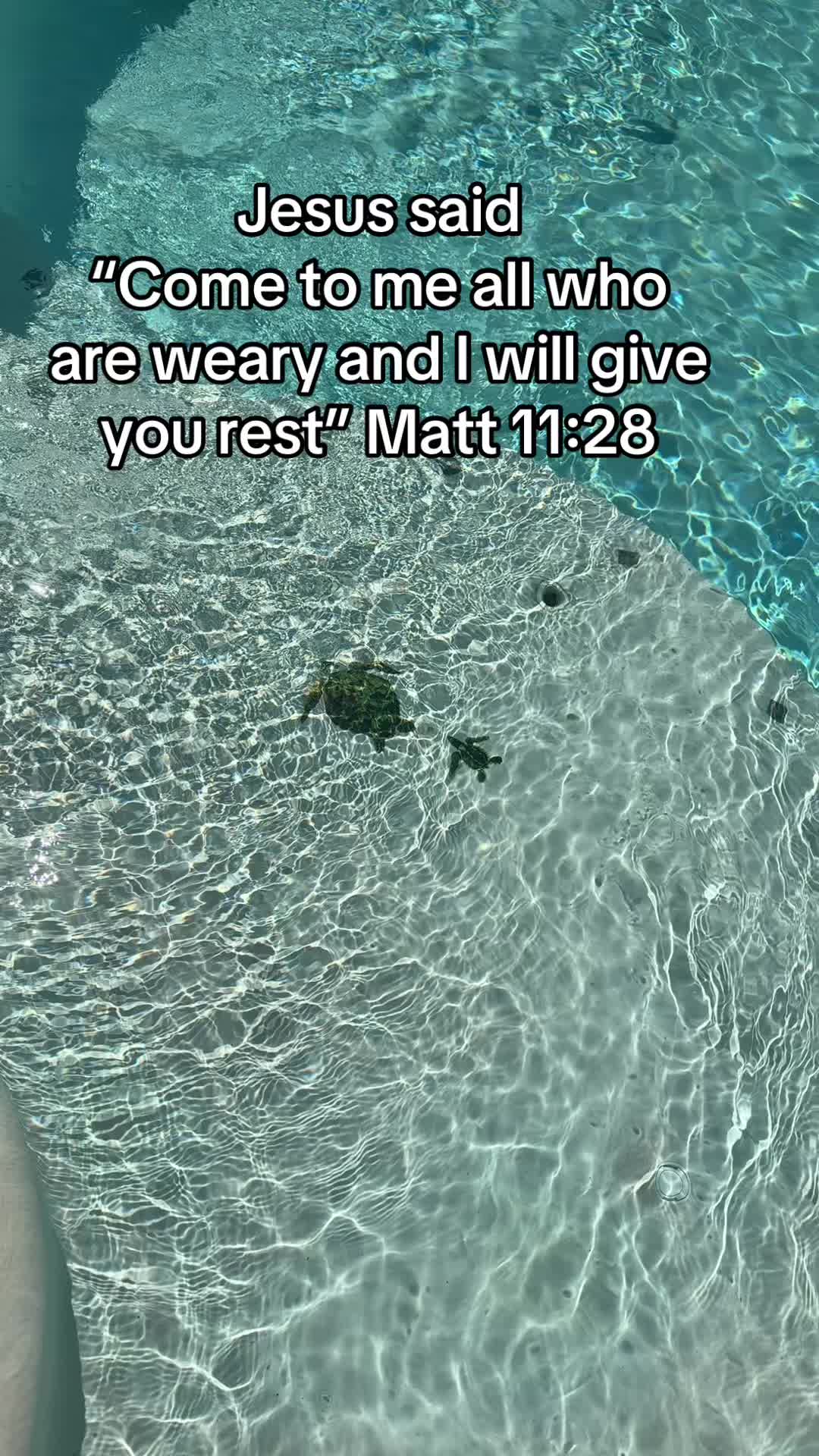 @Gina