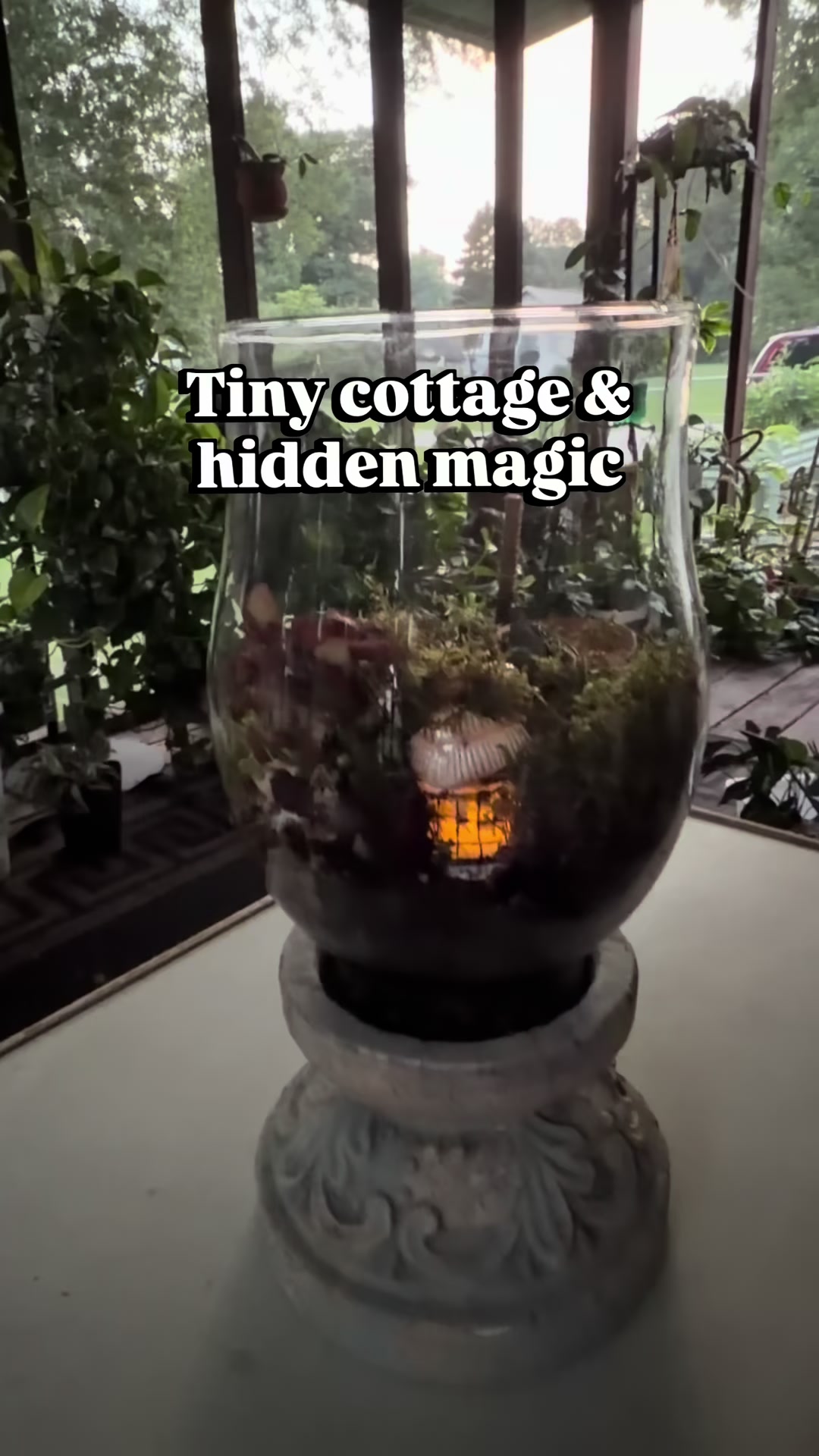 @Pothosiblyaboutplants