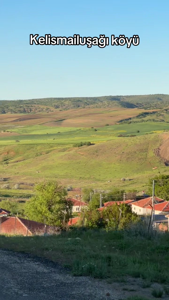 @og&uuml;n