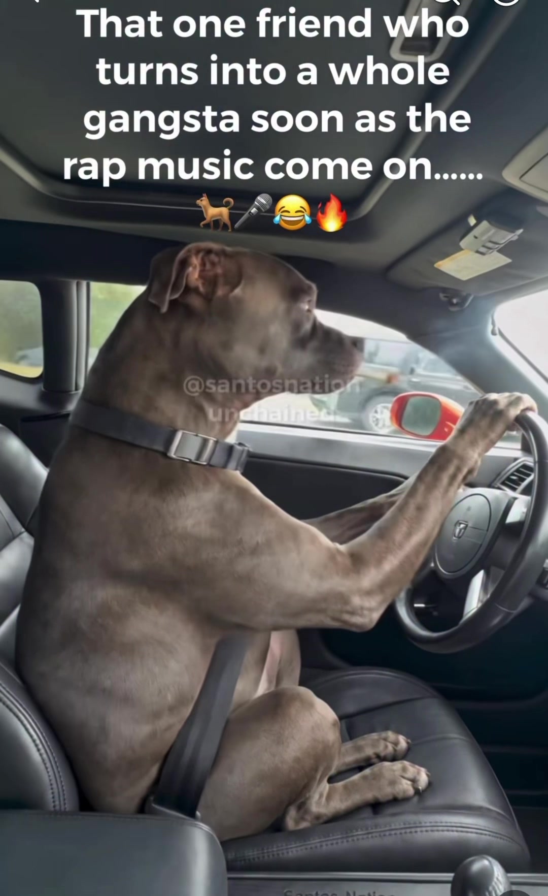 @Rob