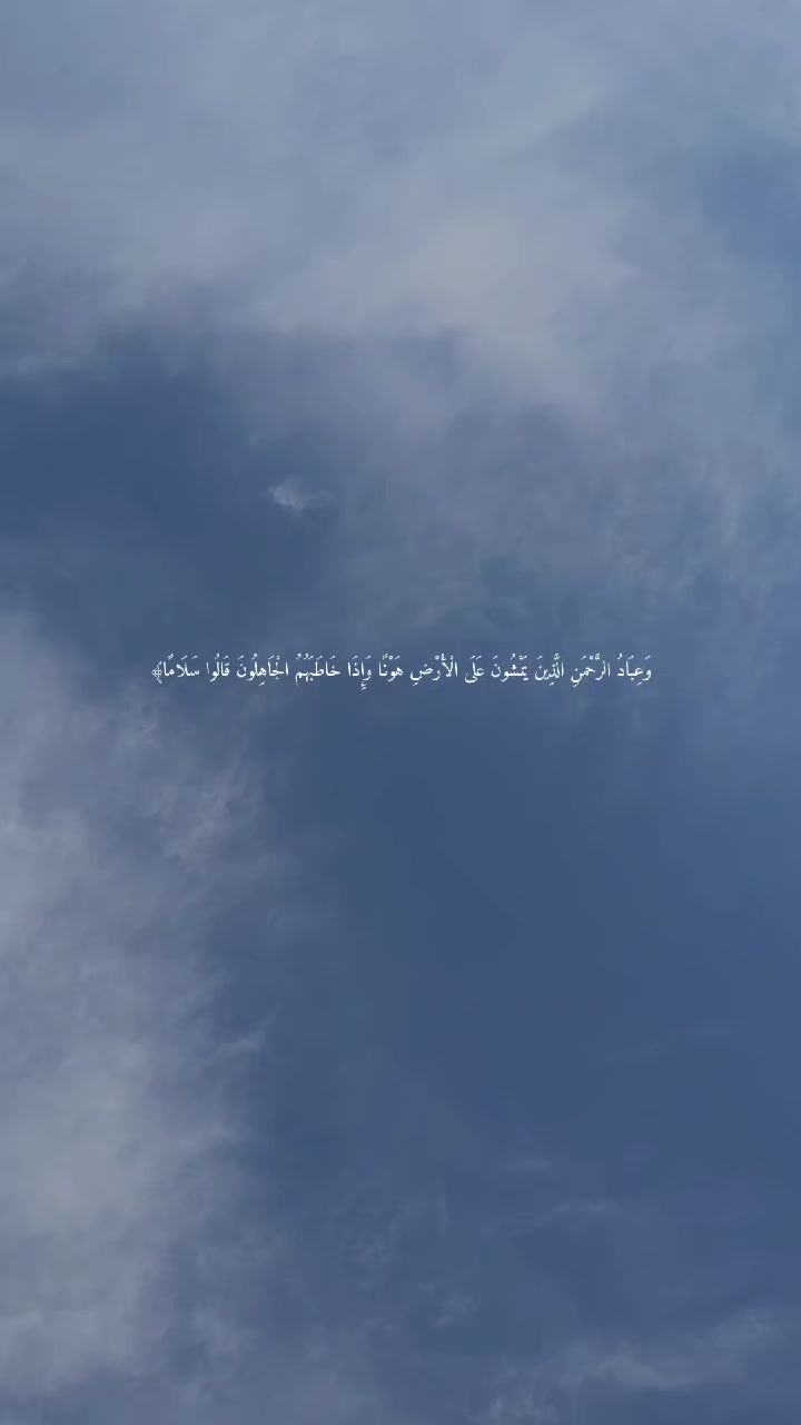 @sayed