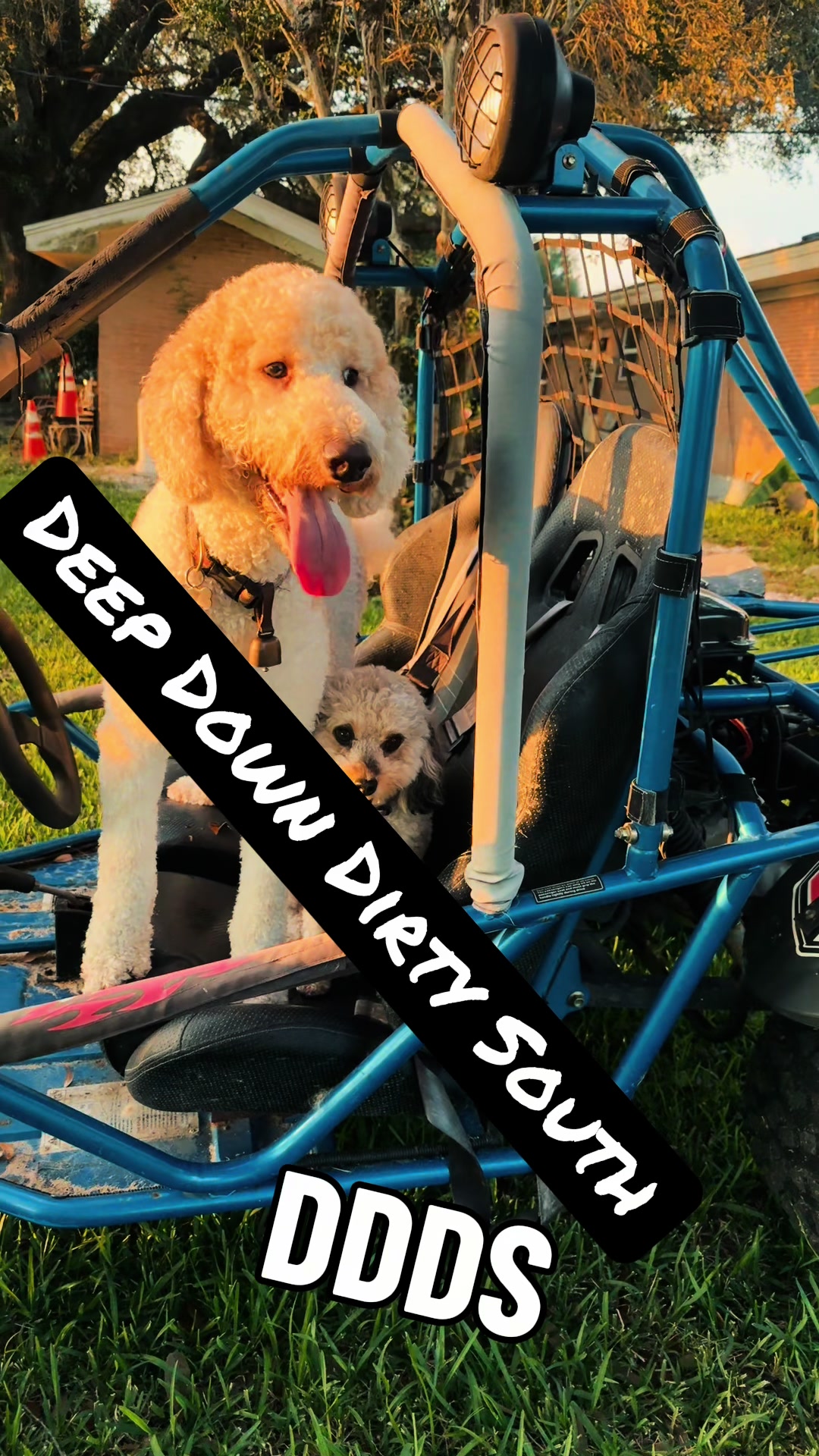 @bigdoodleandlittledoodle