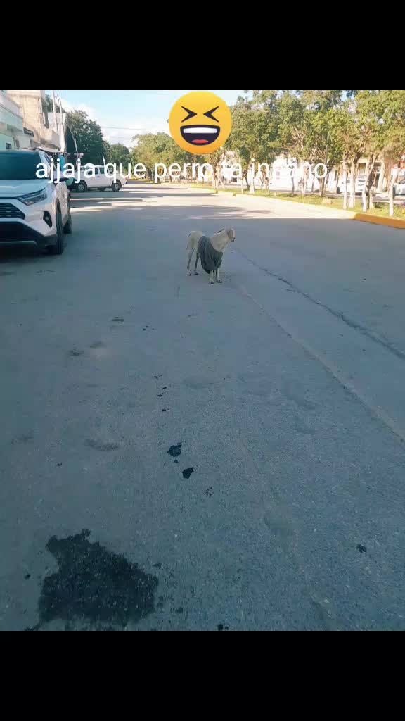 @julianestebancr98