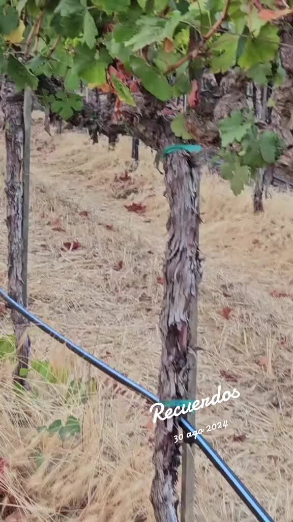 @alvarezcat