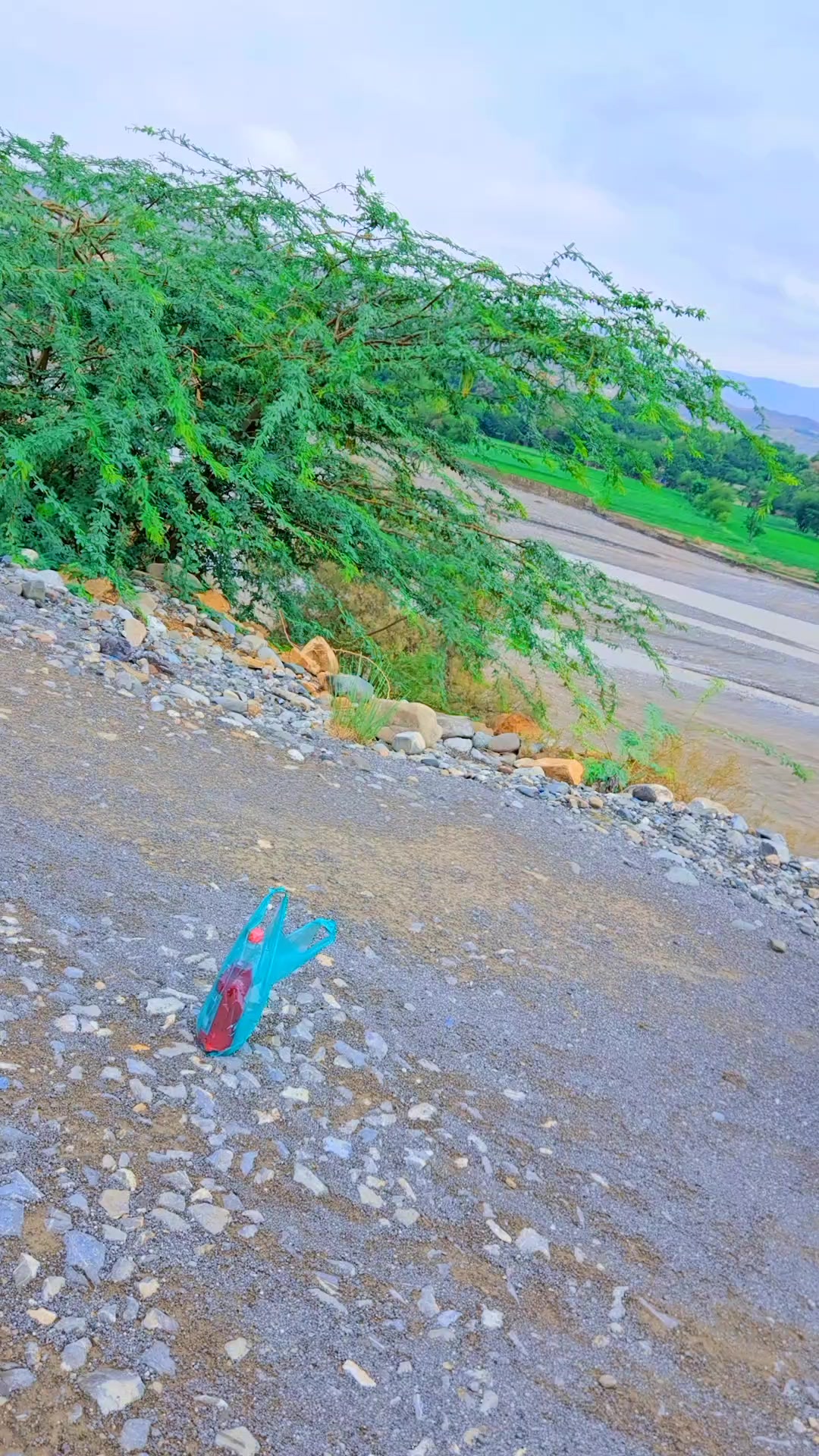 @᯽🇯🇴🦅 مالیار وزیر ⭐᯽